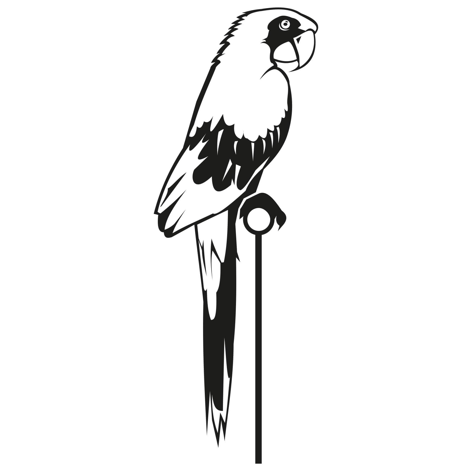 Muursticker Papegaai Percy