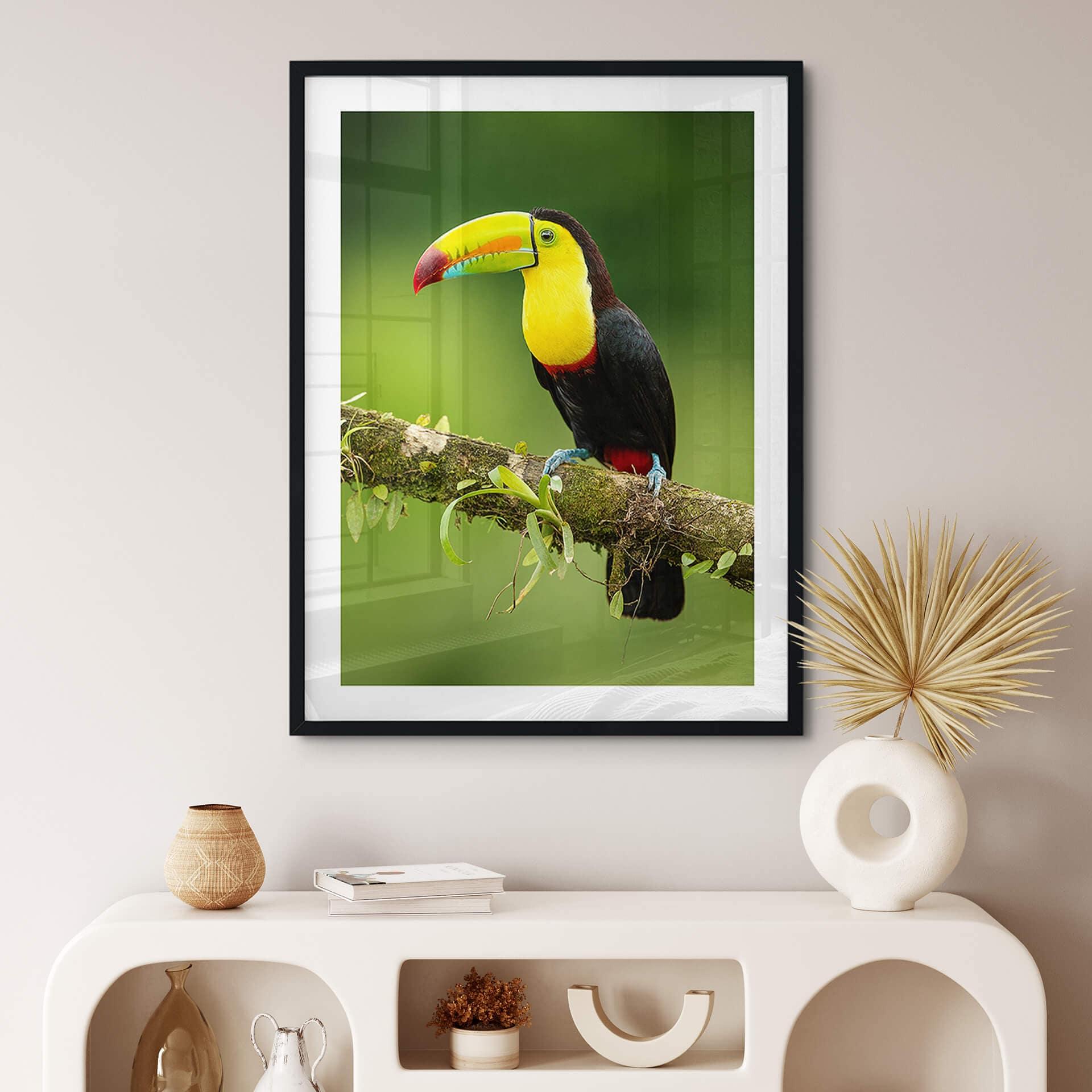 Póster van Duijn - Tucán pescador en Costa Rica