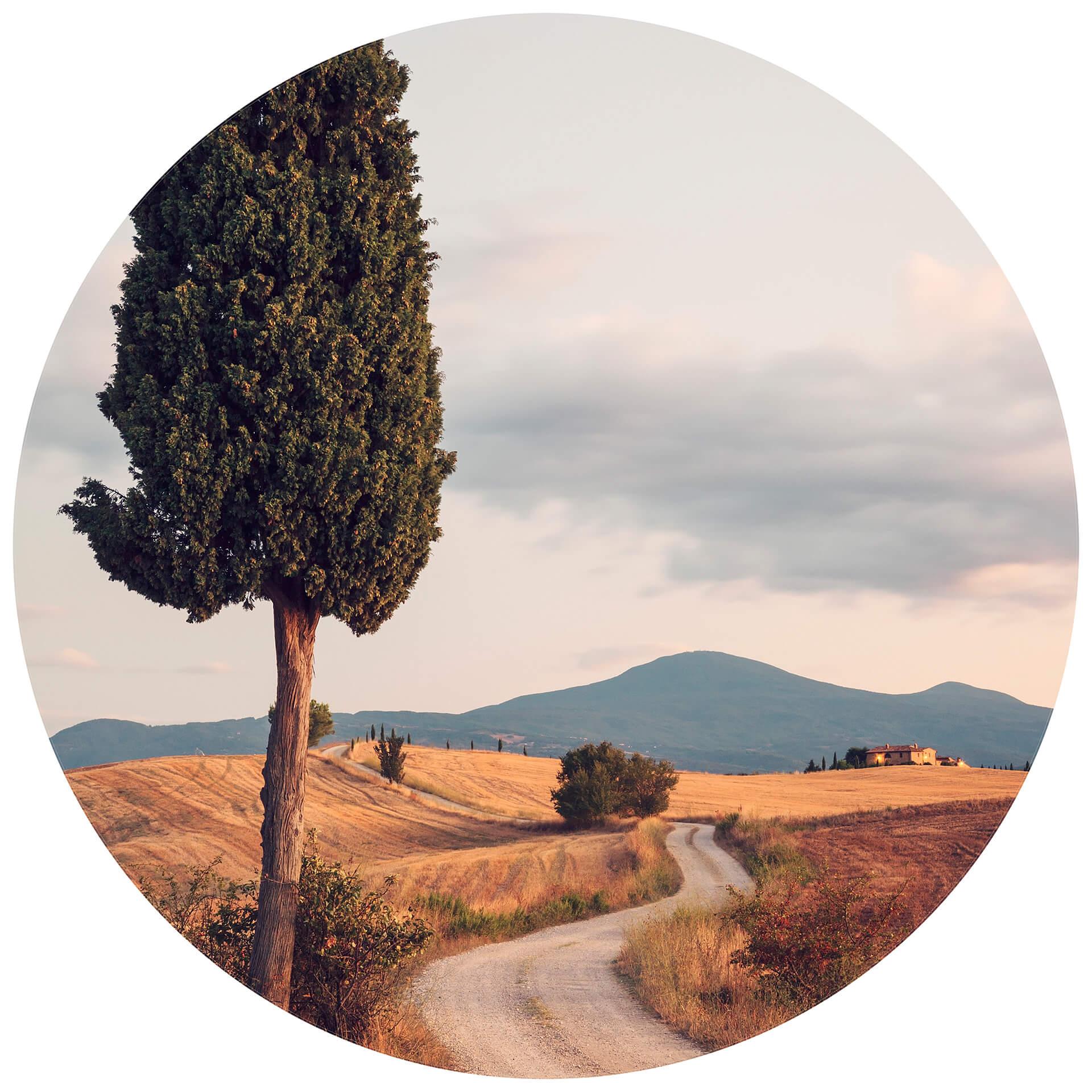 Behangcirkel Colombo - Cipressen Weg in Toscane - vliesbehang/zelfklevend vliesbehang