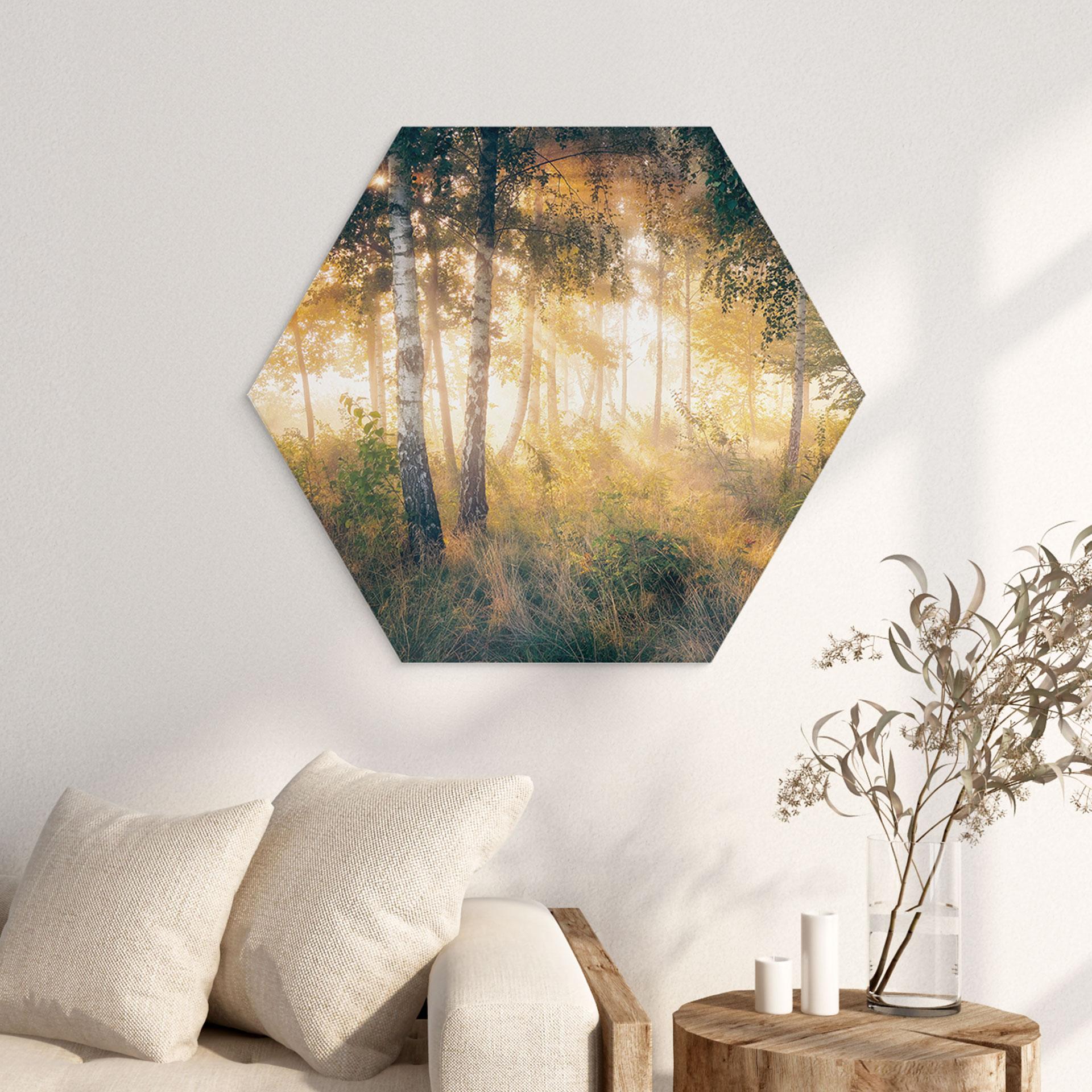 Hexagon Dibond Solskin i birkeskoven - Kado