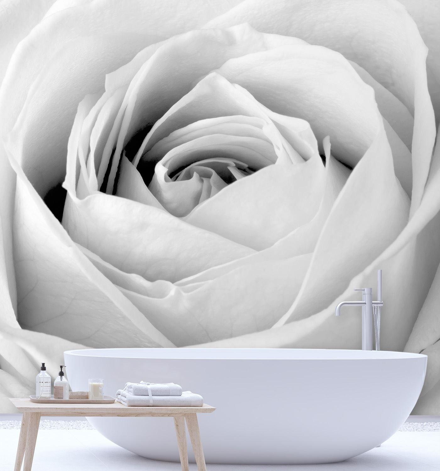 Fototapete, Weiße Rose Blumen