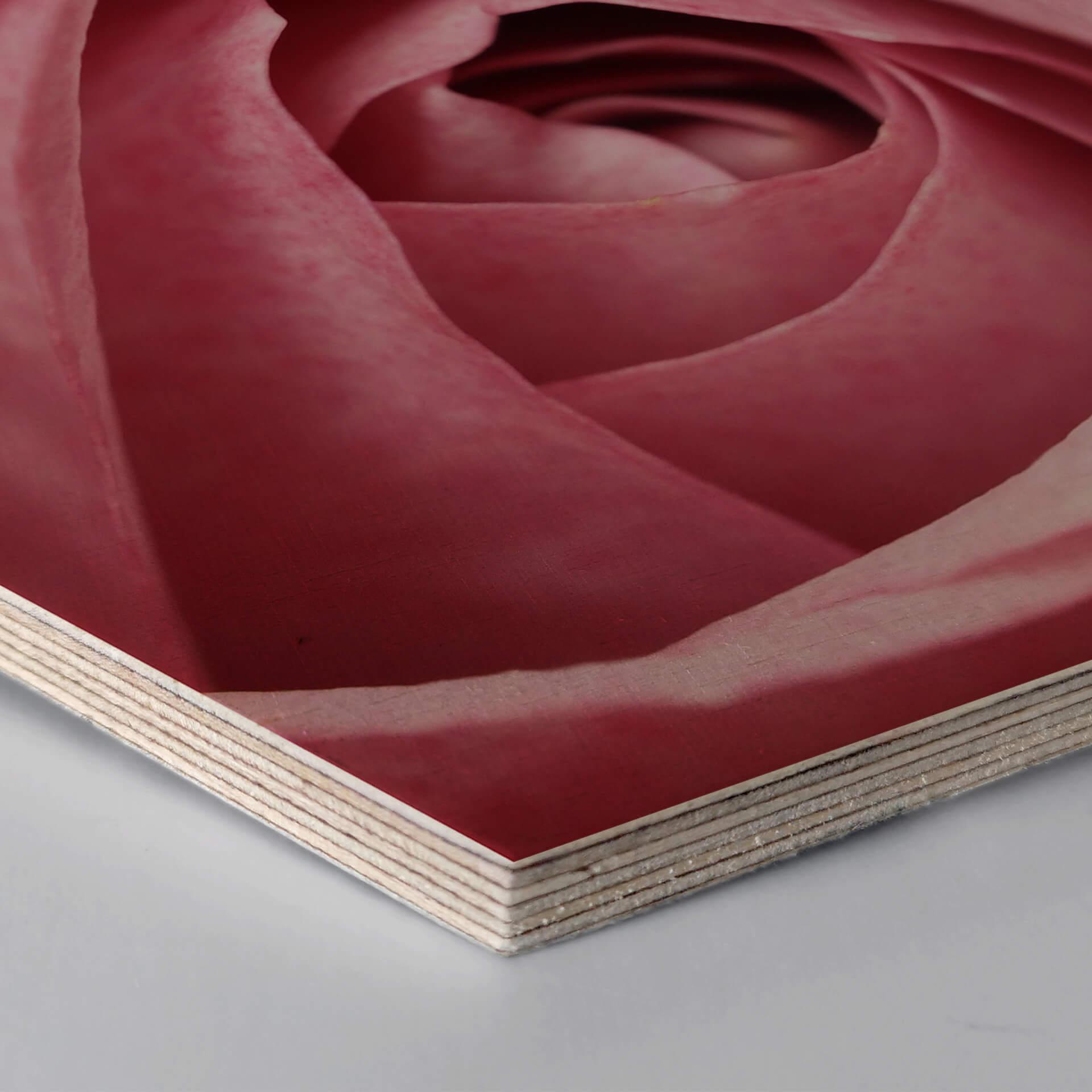 Hexagon - Holz Birke-Furnier - Die rosa Rose