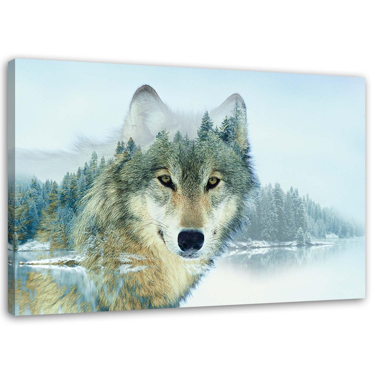 Canvasbillede, Ulv på en bjergbaggrund