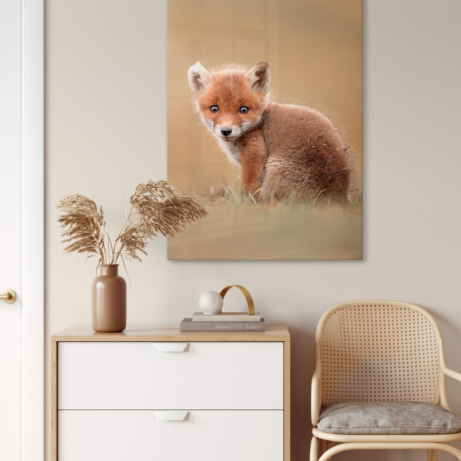 Glasschilderij van Duijn - Baby Fox