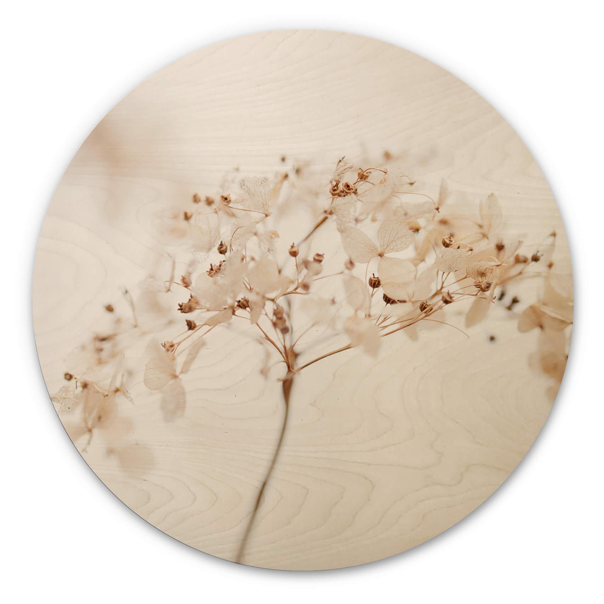 Billede af træ 1X Studio - Gren med sarte blomster - Rund