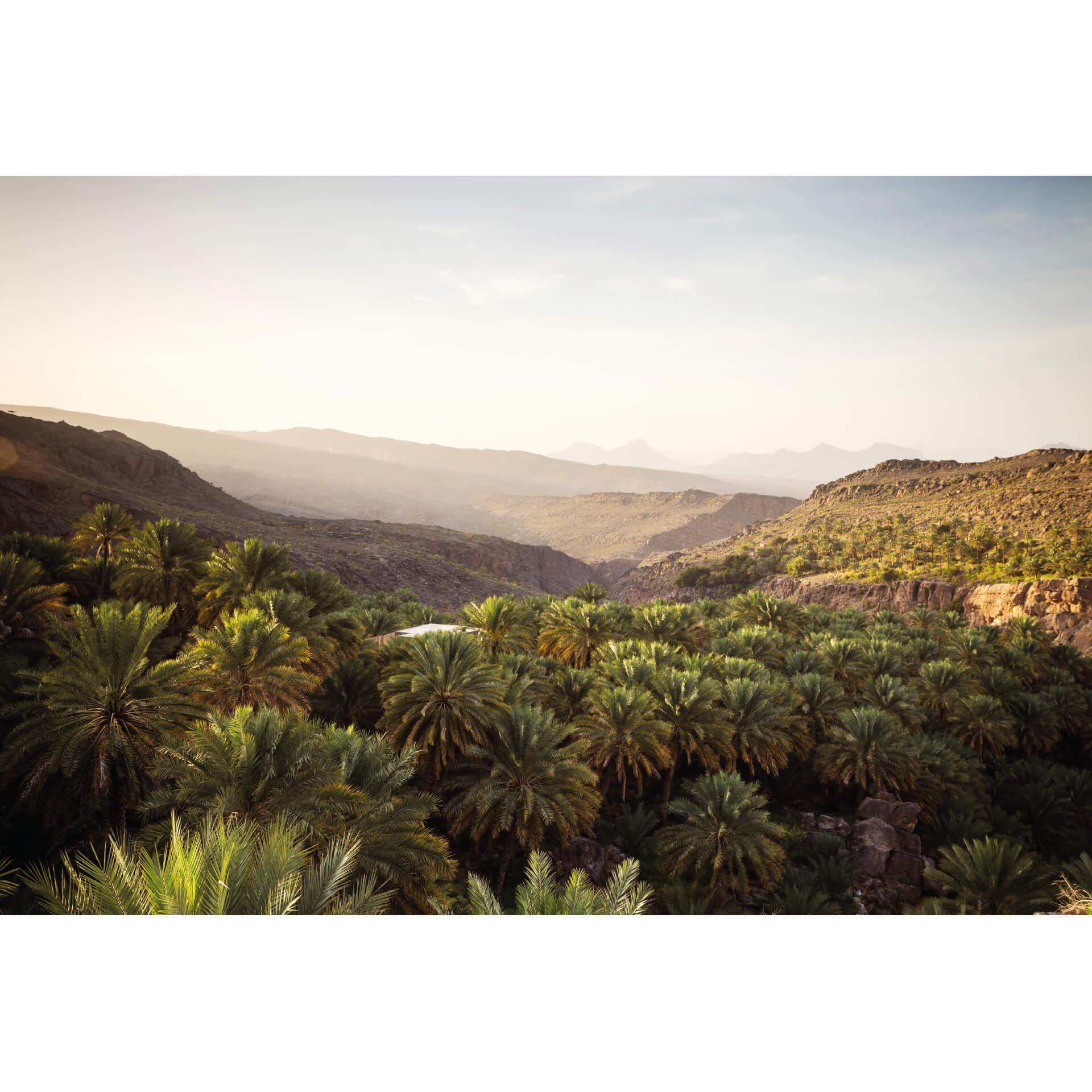 Fotobehang Colombo - Oase in Oman
