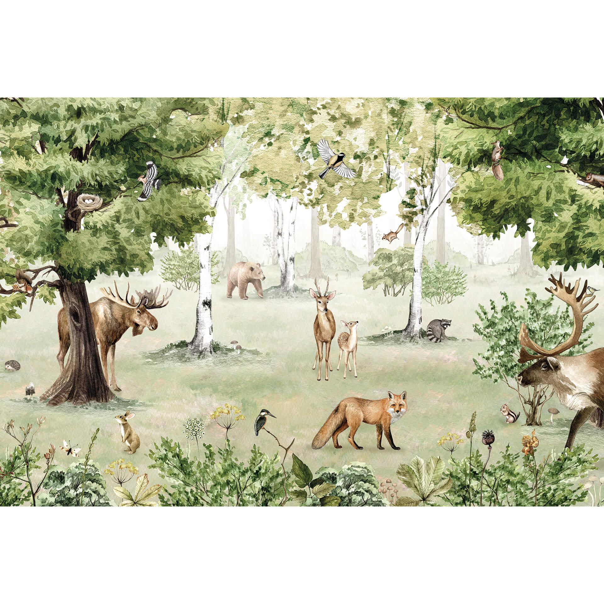 Fotobehang Kikki Belle - Forest Wonder