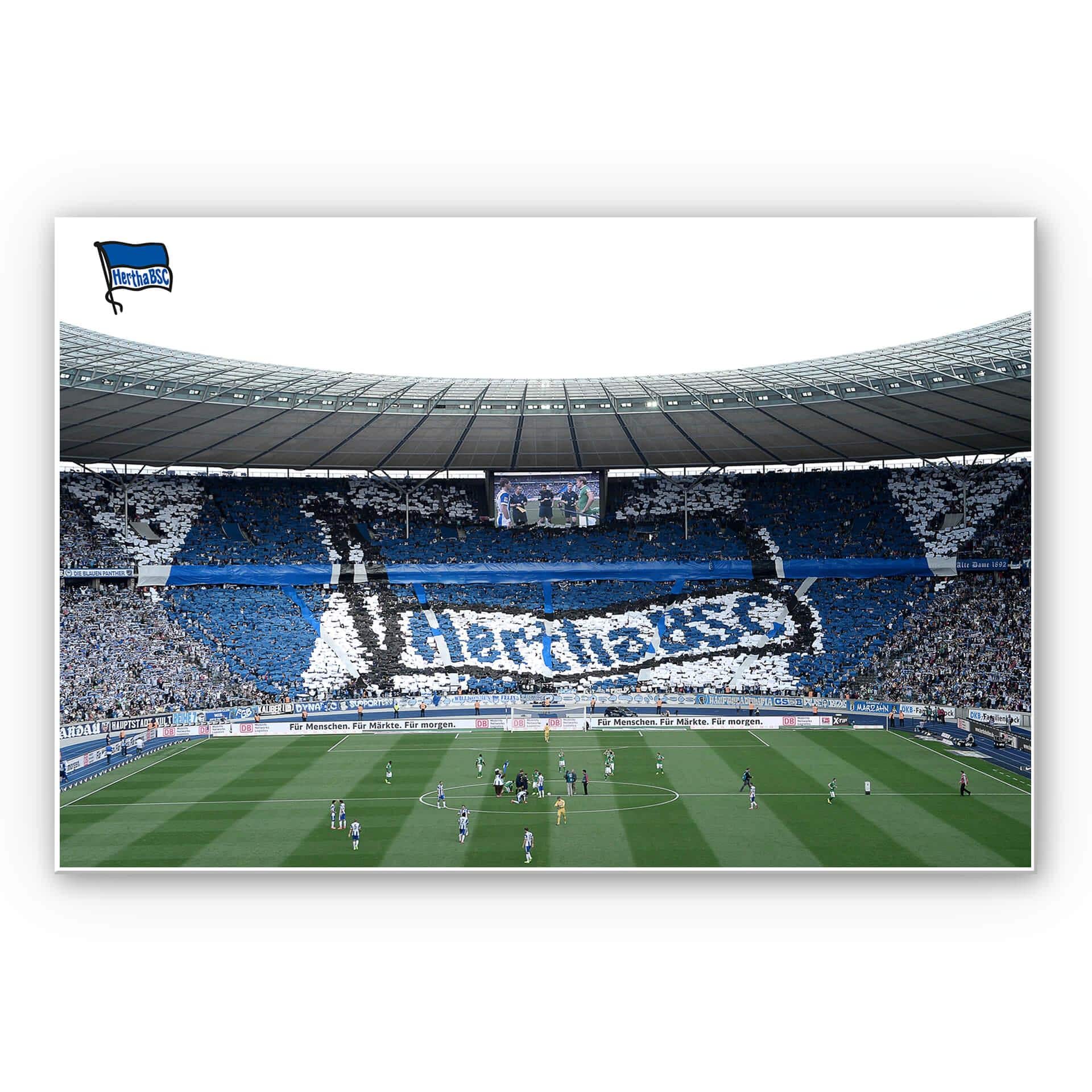 Leichtes Wandbild Hertha BSC - Spielstart im Stadion | mattes Finish