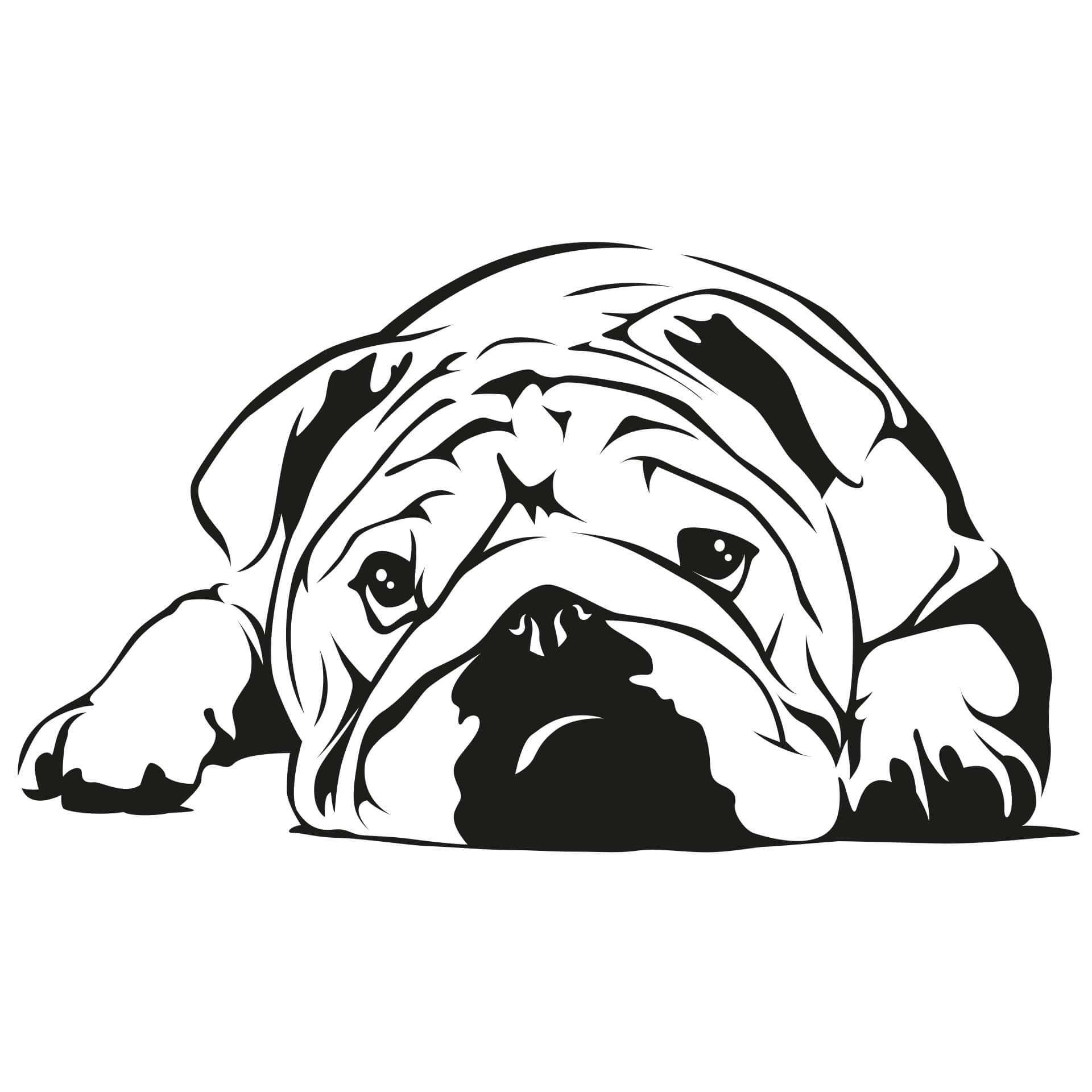 Muursticker Engelse Bulldog