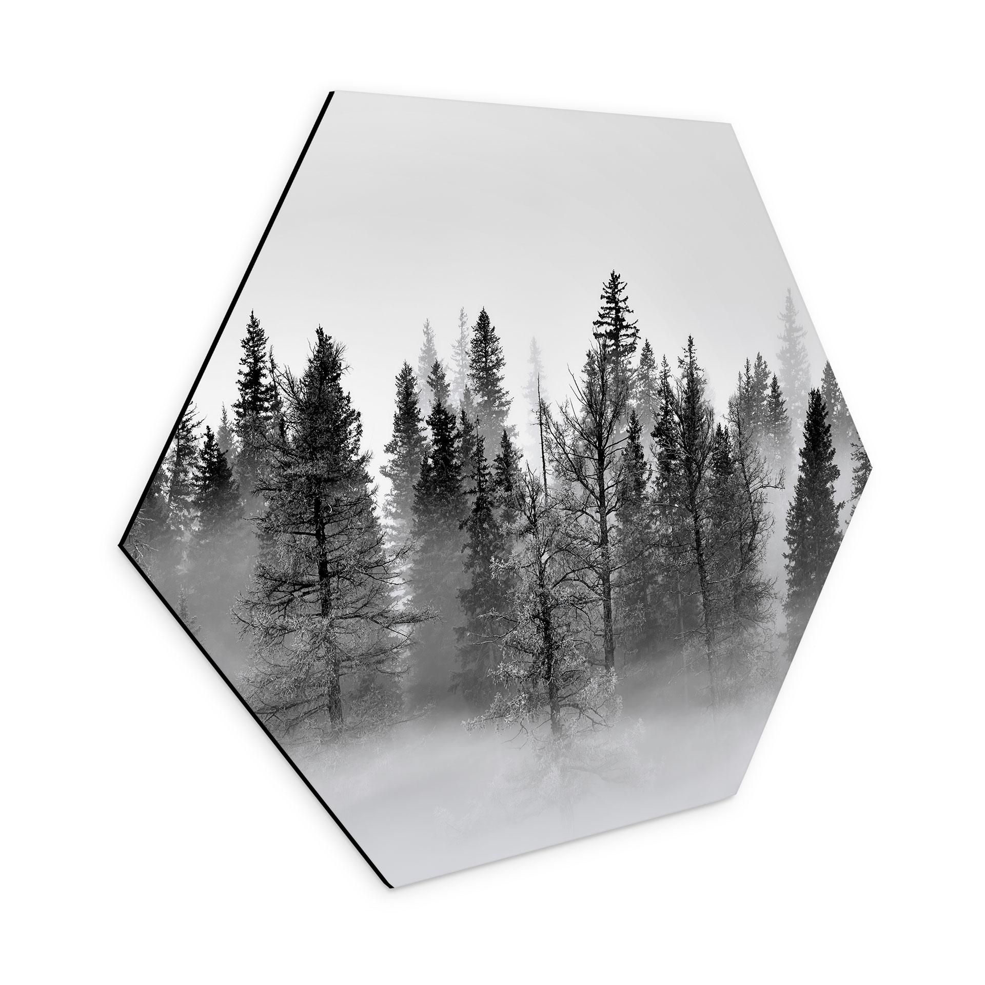 Hexagon Dibond Xu - Foggy Forest