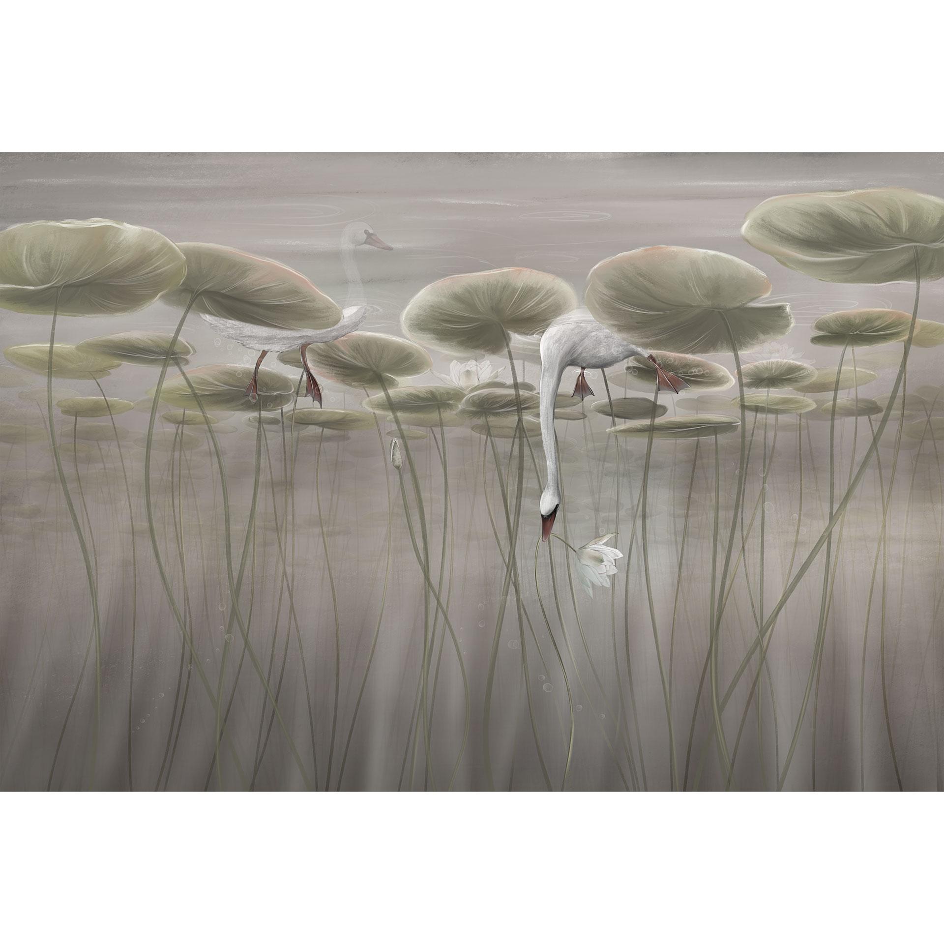 Fototapete Naturtapete Lotusblumen mit Schwan im Wasser in Grau - Ms Tiff
