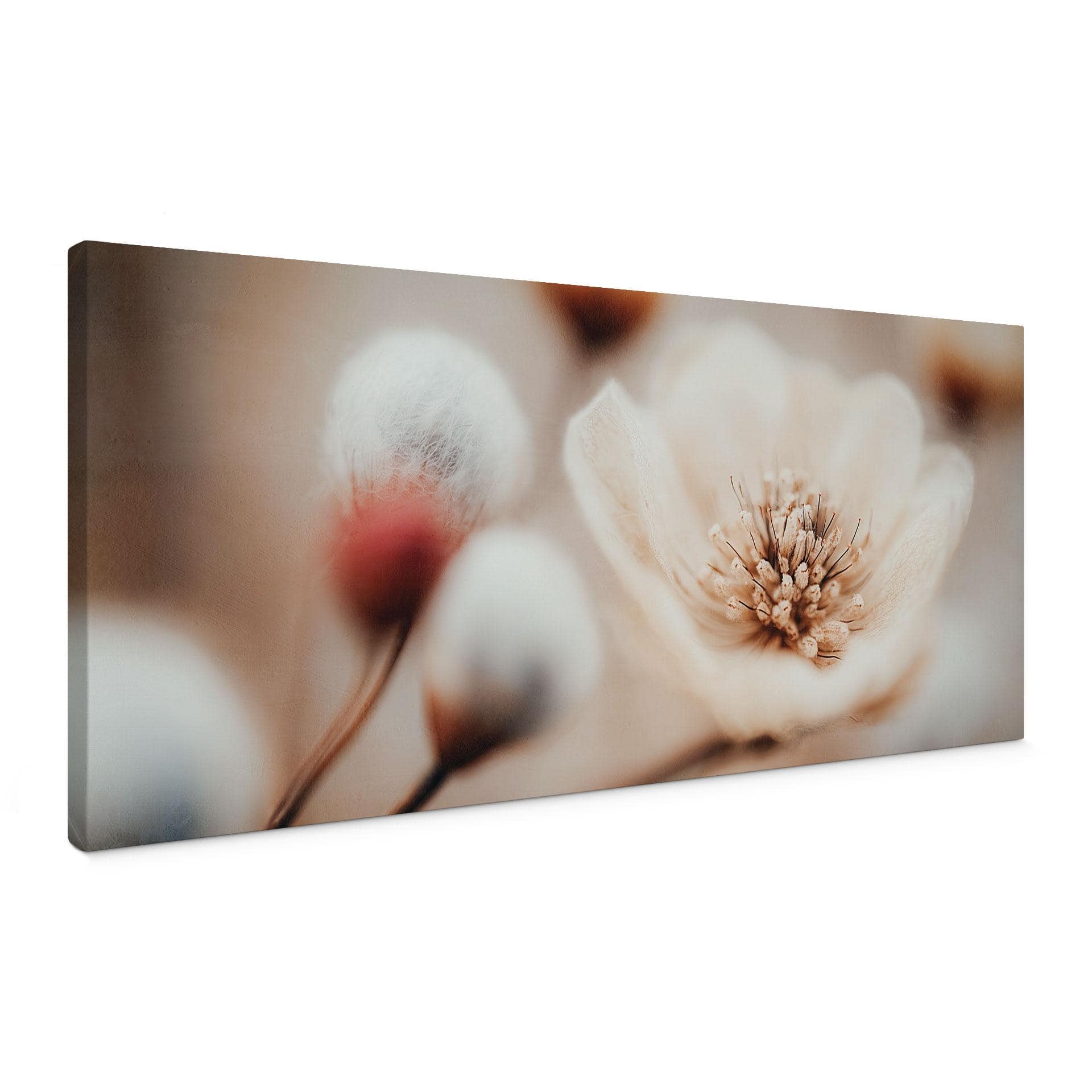 Blommig Canvastavla Boho Blossom Mjuk Beige - Treechild - Panorama