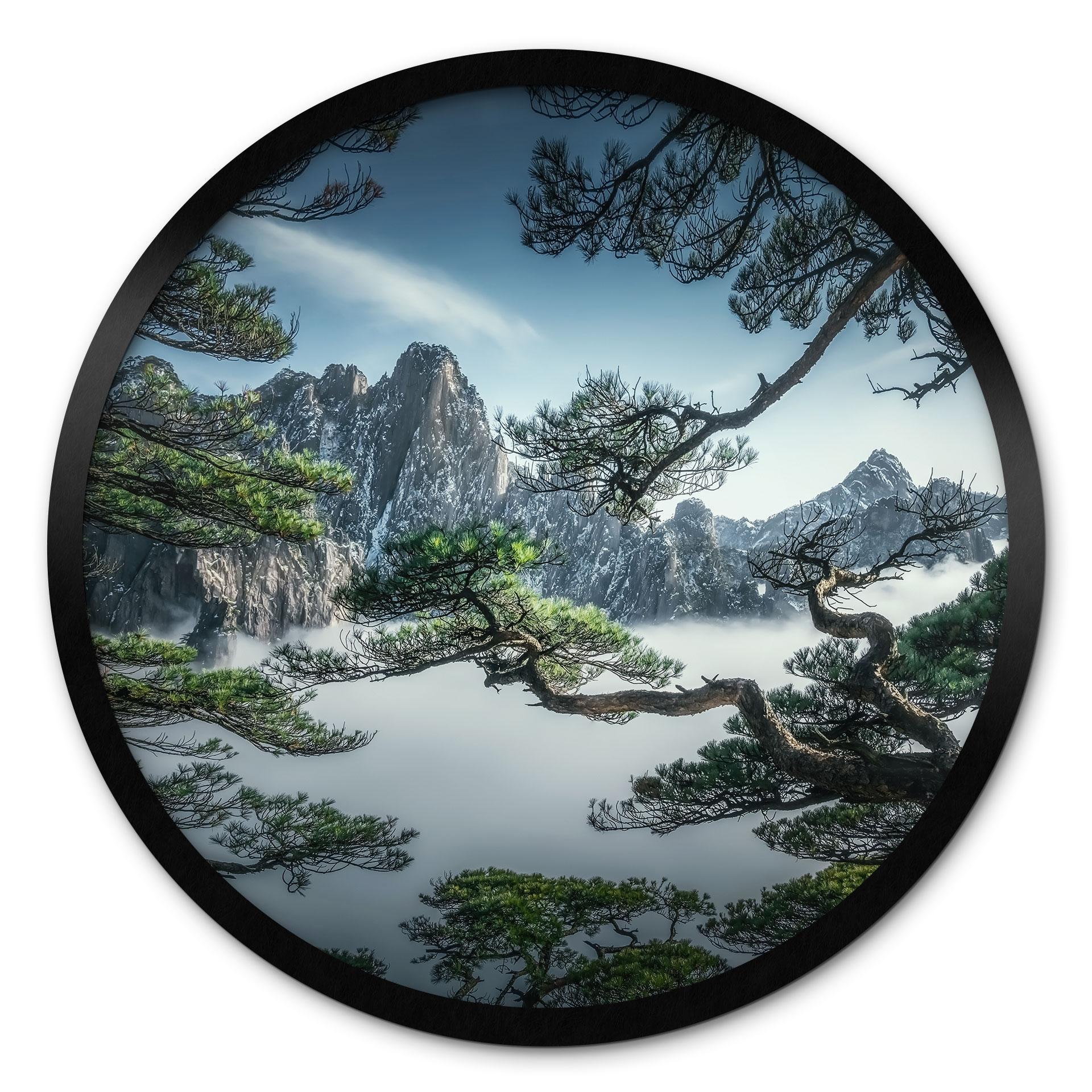 Plakat Fyrreskov i Huang Shan-bjergene - NingYun Ye - Round