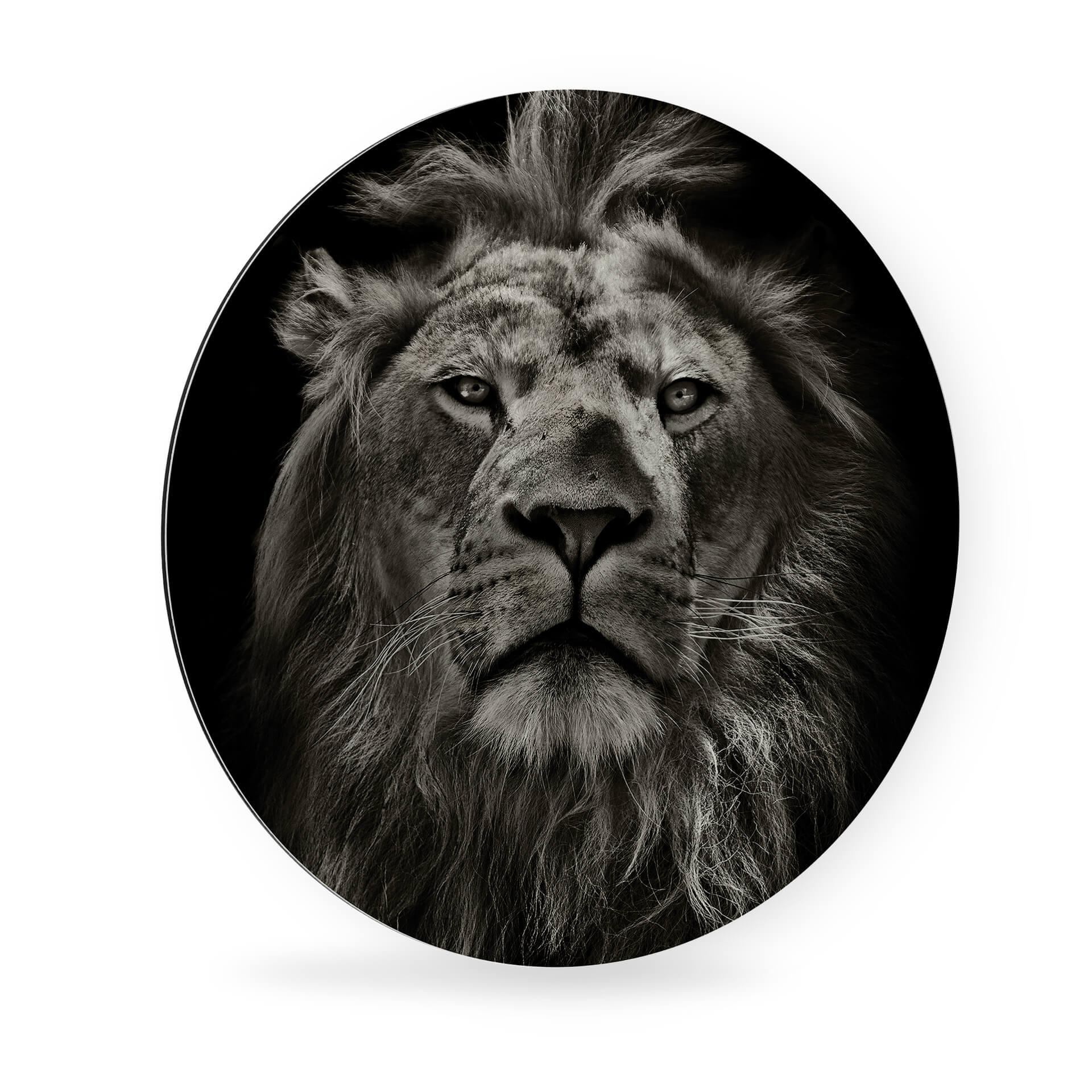 Alu-Dibond Lion - Rund