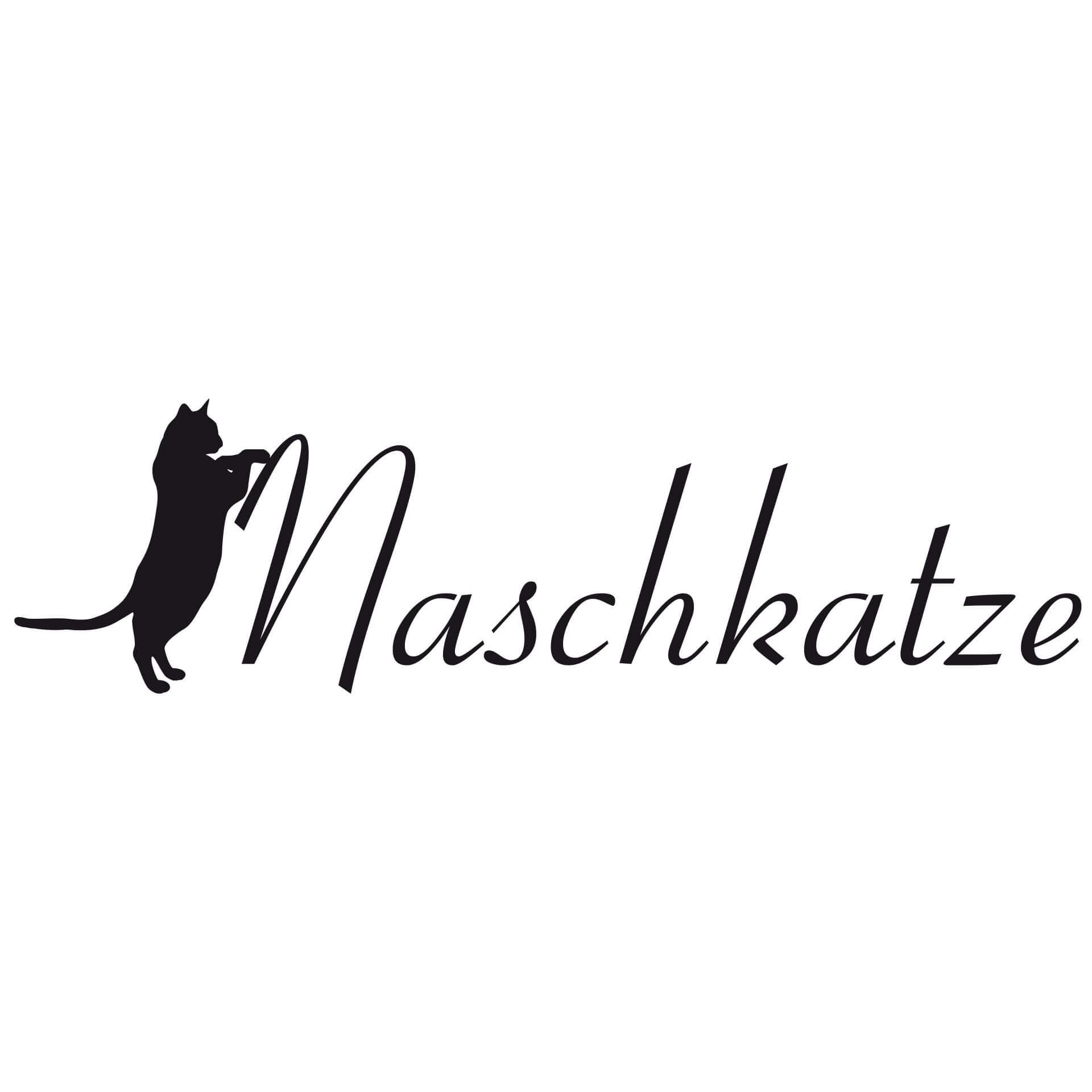 Wandtattoo Naschkatze