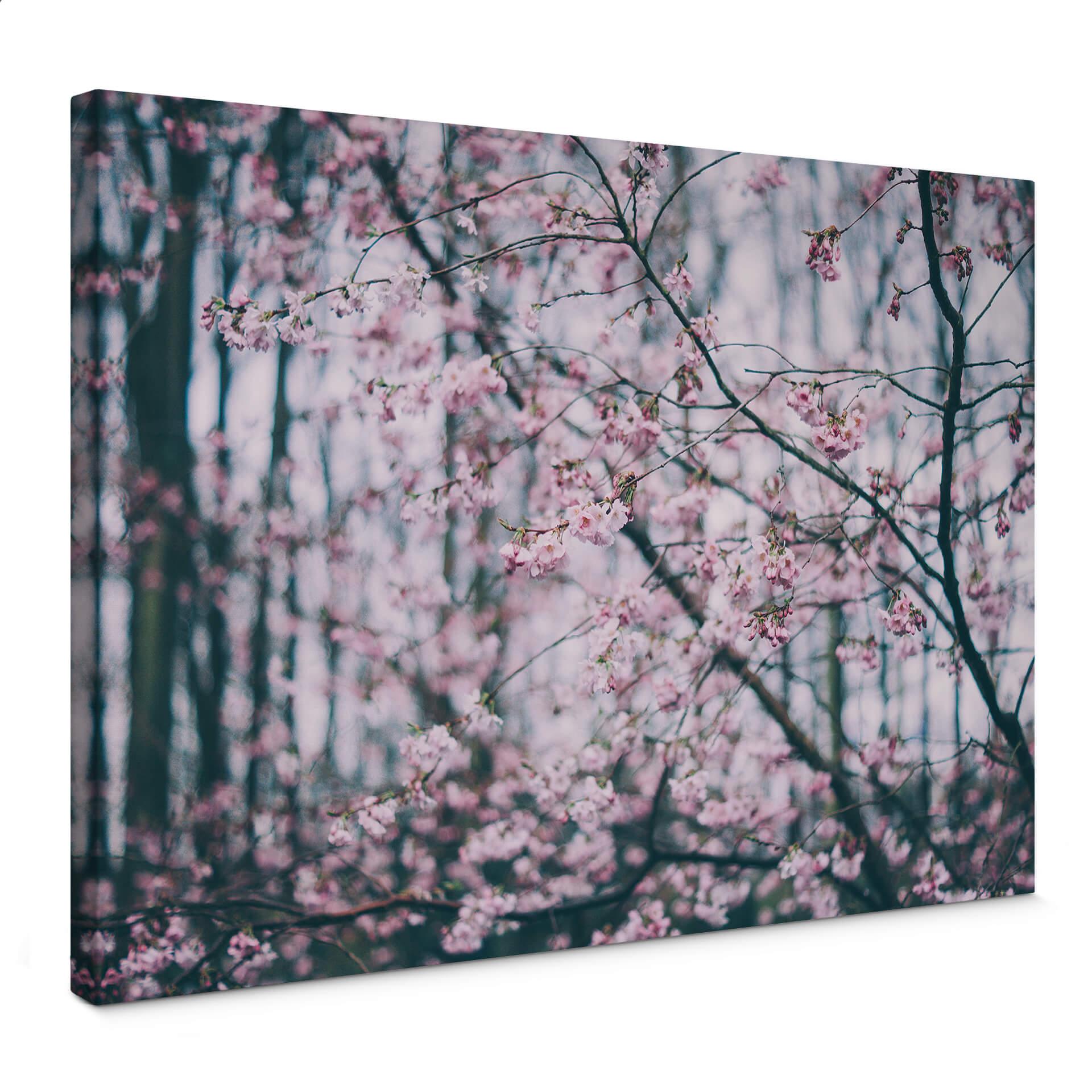 Lienzo Flor Rosa Sueño 03