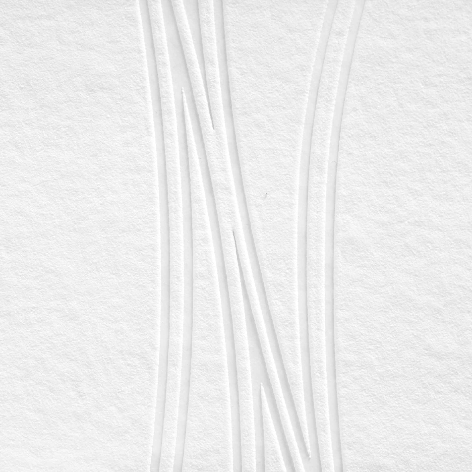 A.S. Création Vliesbehang Meestervlies Pro Protect 2 Wit, overschilderbaar