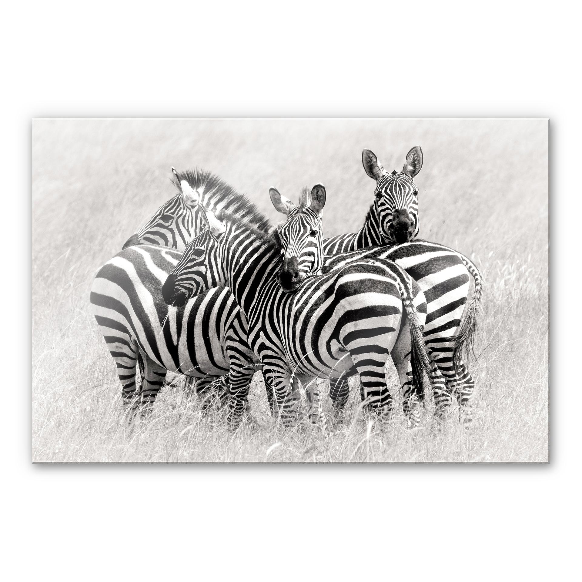 Akrylbillede Trubitsyn - Zebraer på savannen