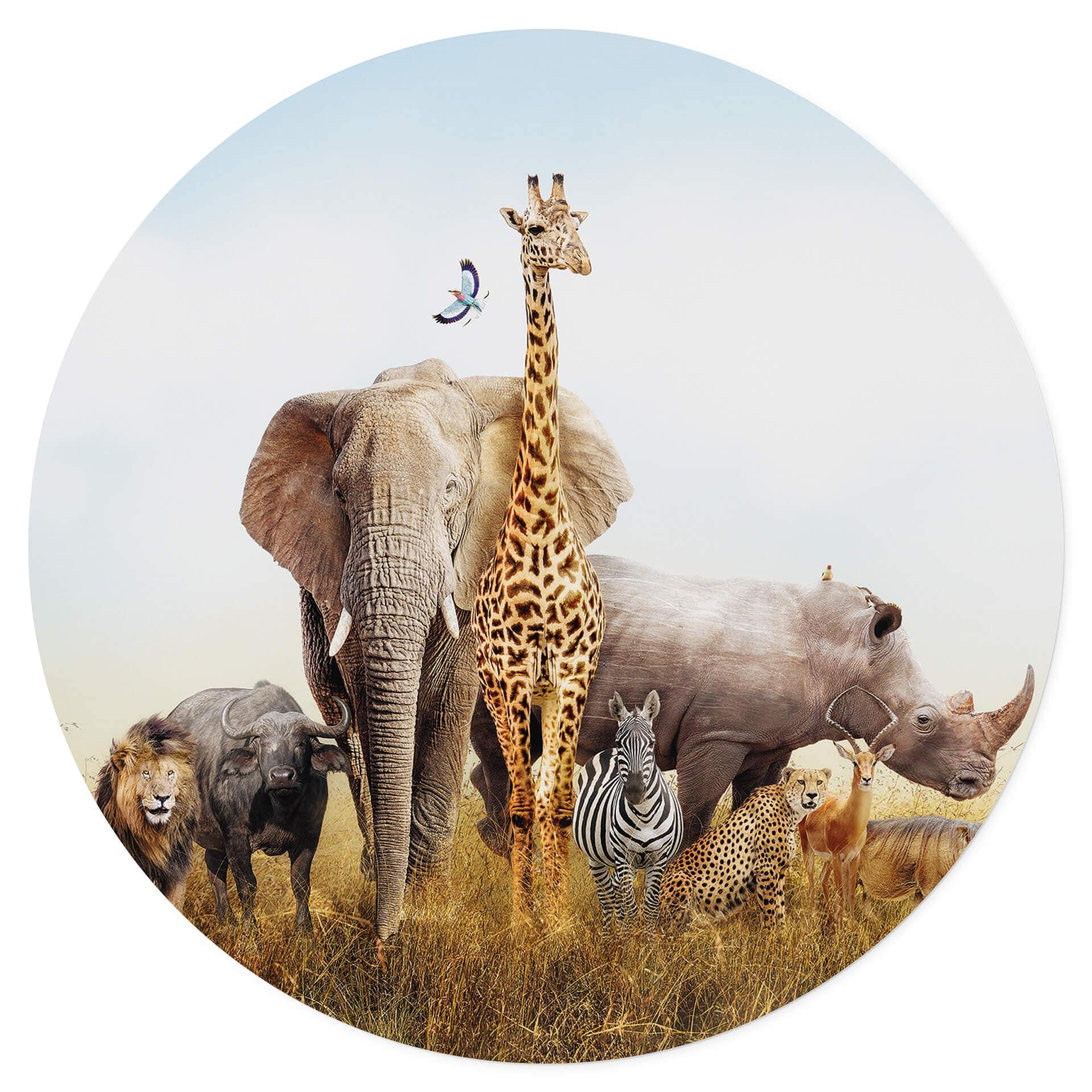 Vinilo decorativo de animales africanos - Redondo