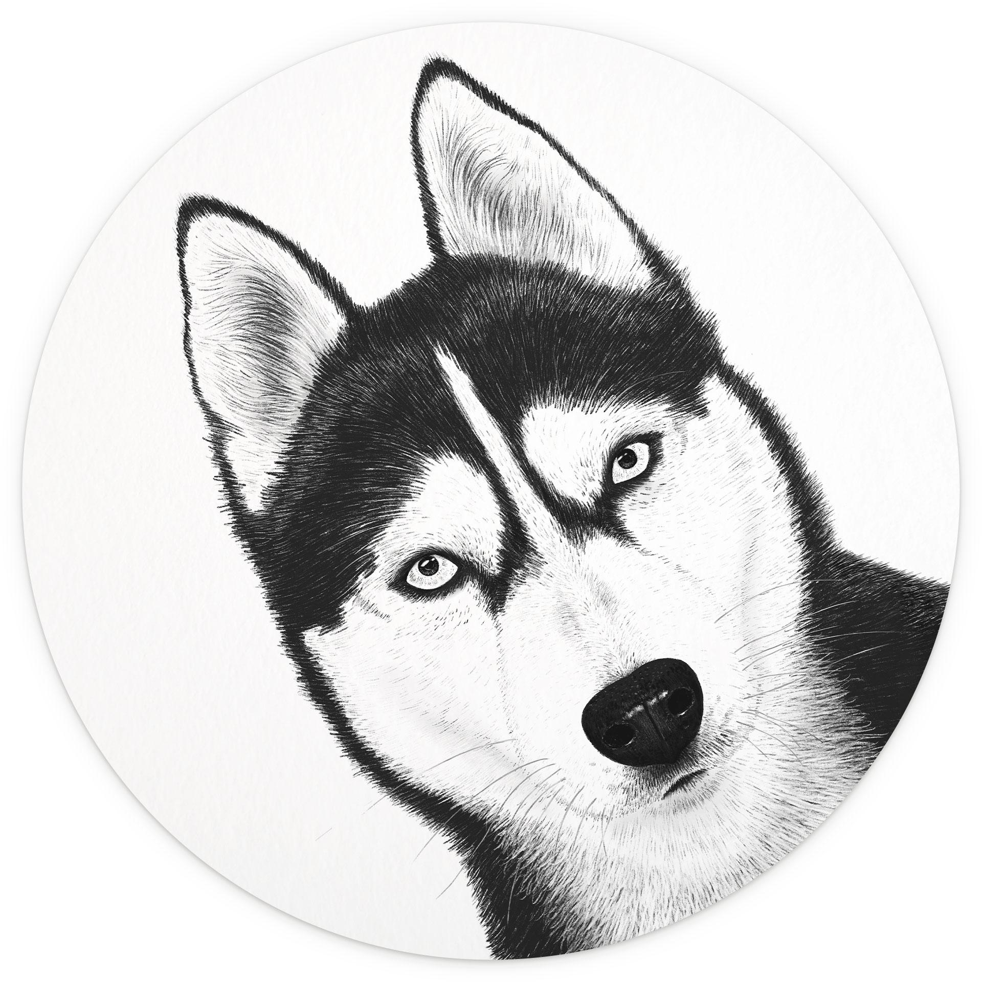 Muurschildering Siberische husky - hondenportret - Korenkova - Rond - - vliesbehang/zelfklevend vlie