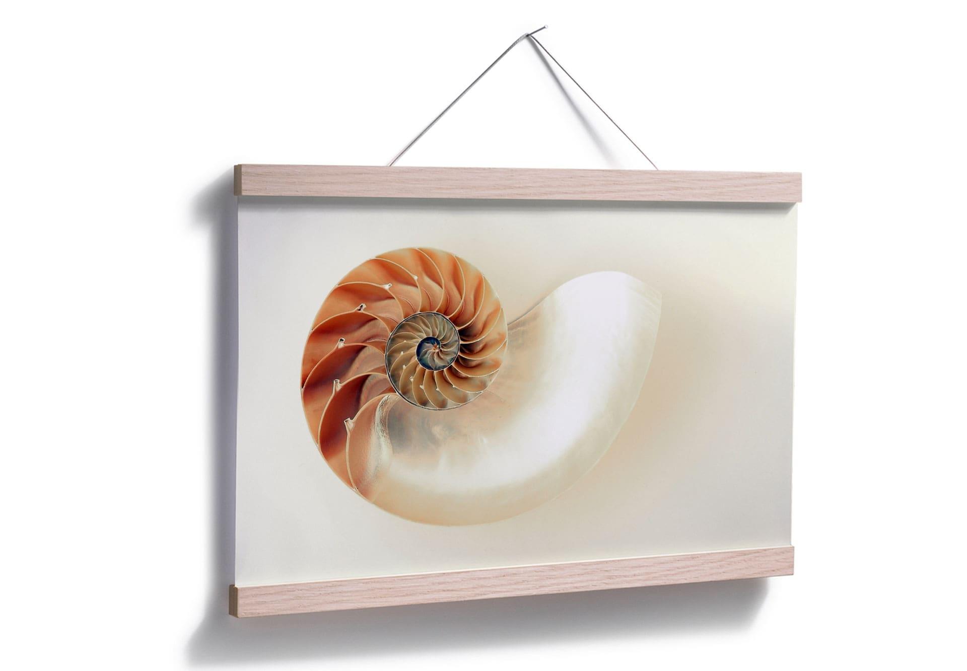 Poster - Nautilus