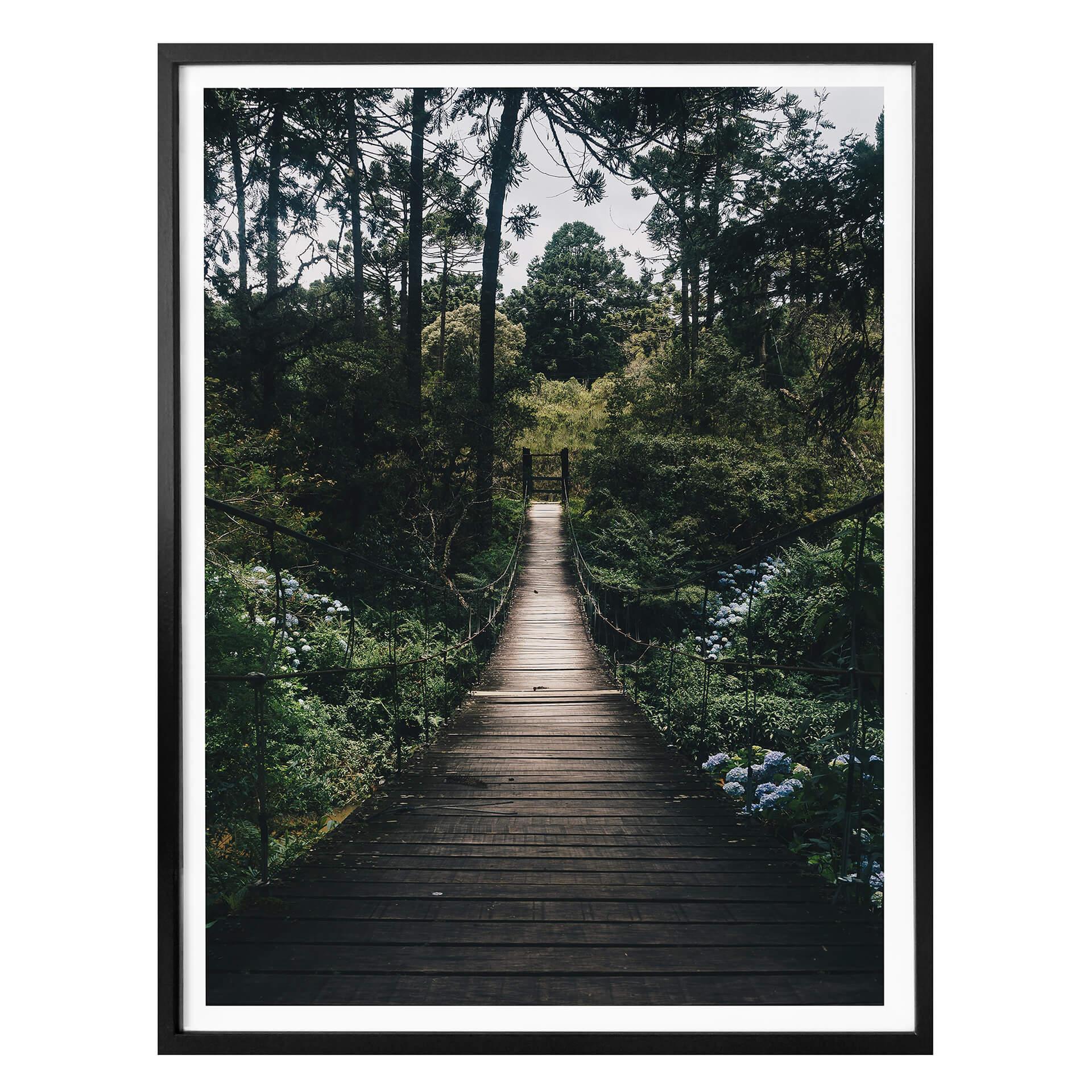 Póster camino forestal