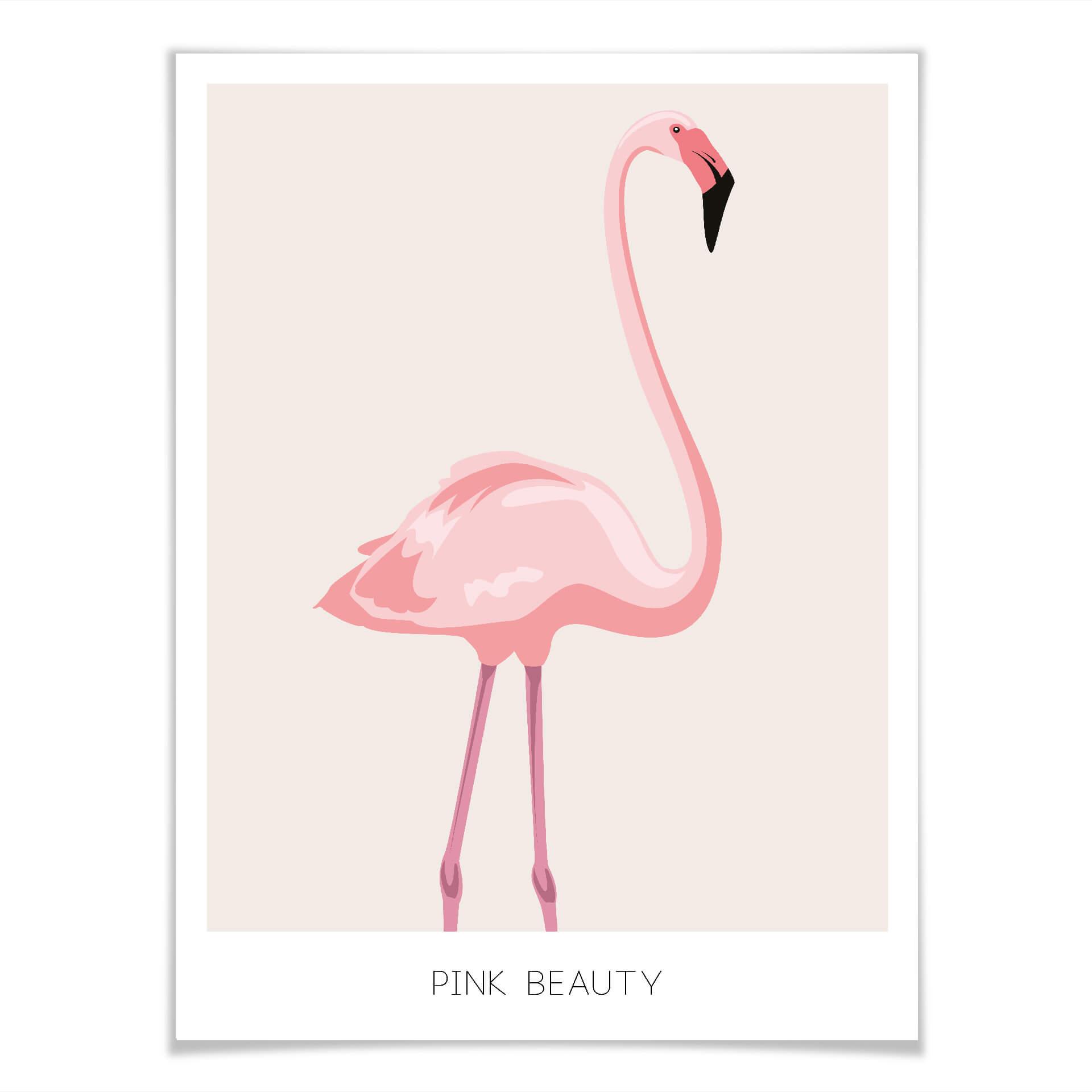 Plakat Pink Beauty - Flamingo