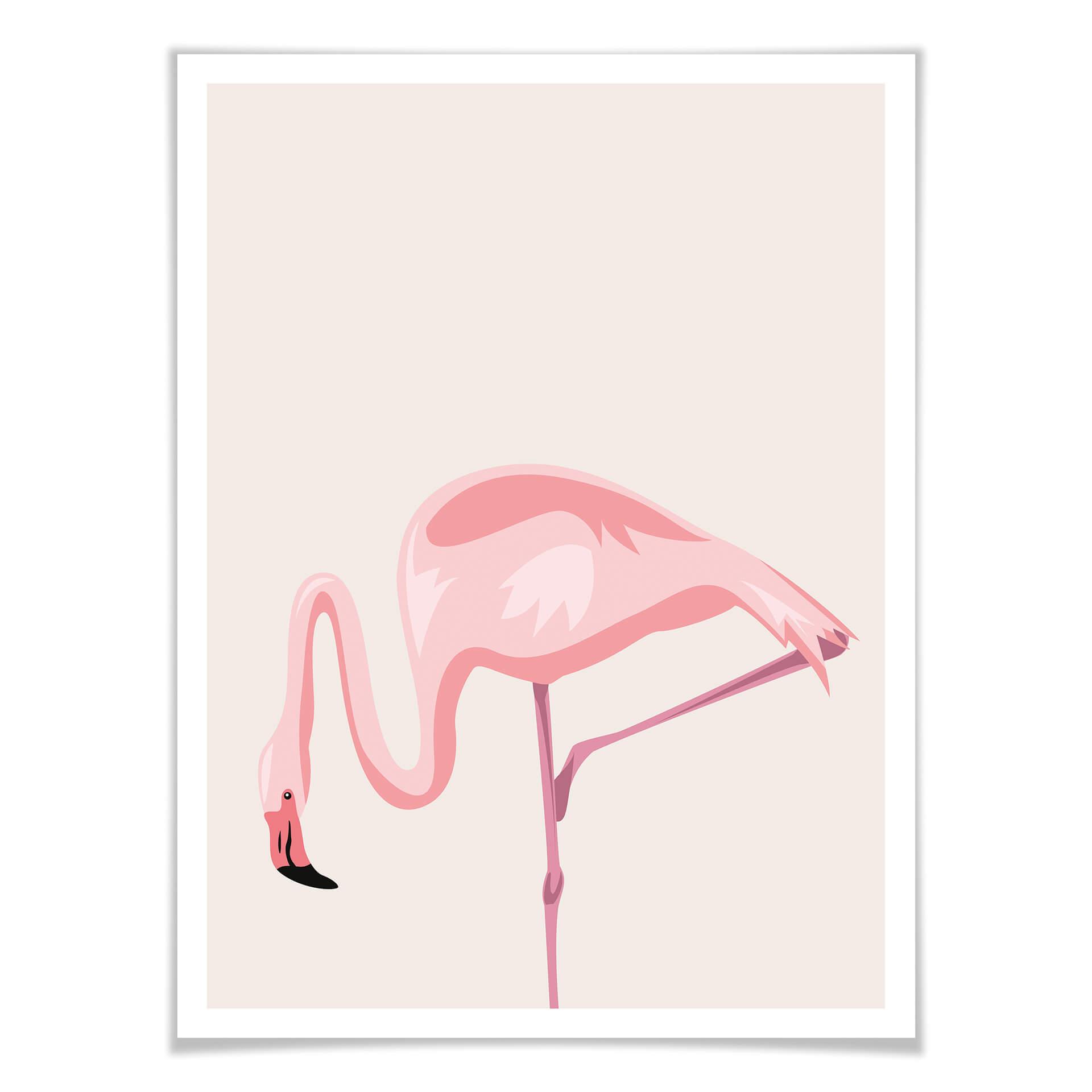 Plakat Flamingo 02