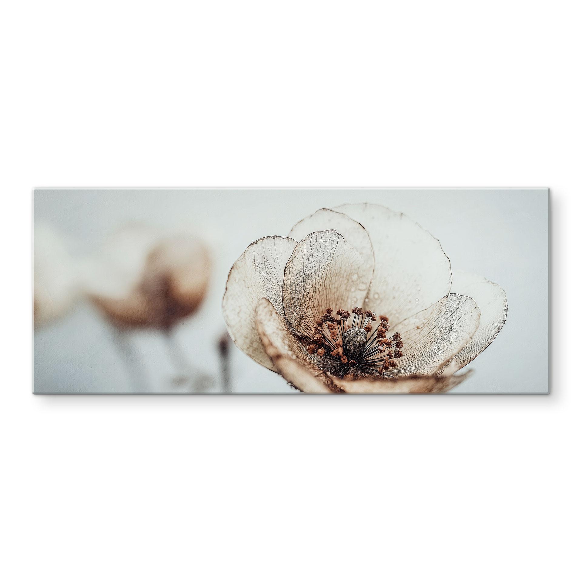 Stænkplade Dry blossom Beige Nature poetry - Treechild - Panorama
