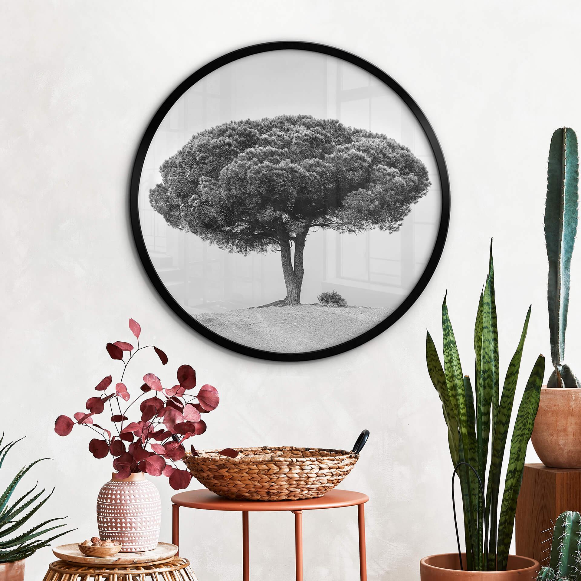 Póster Martin - Árbol en blanco y negro - Redondo