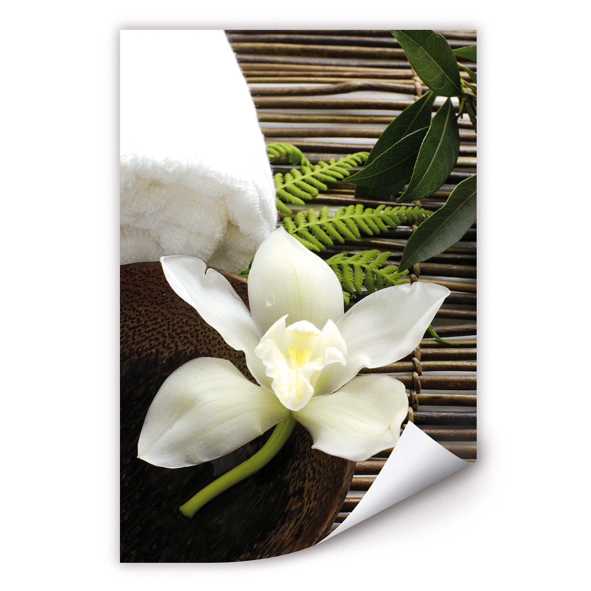 Poster autocollant - W - Wellness Orchidee