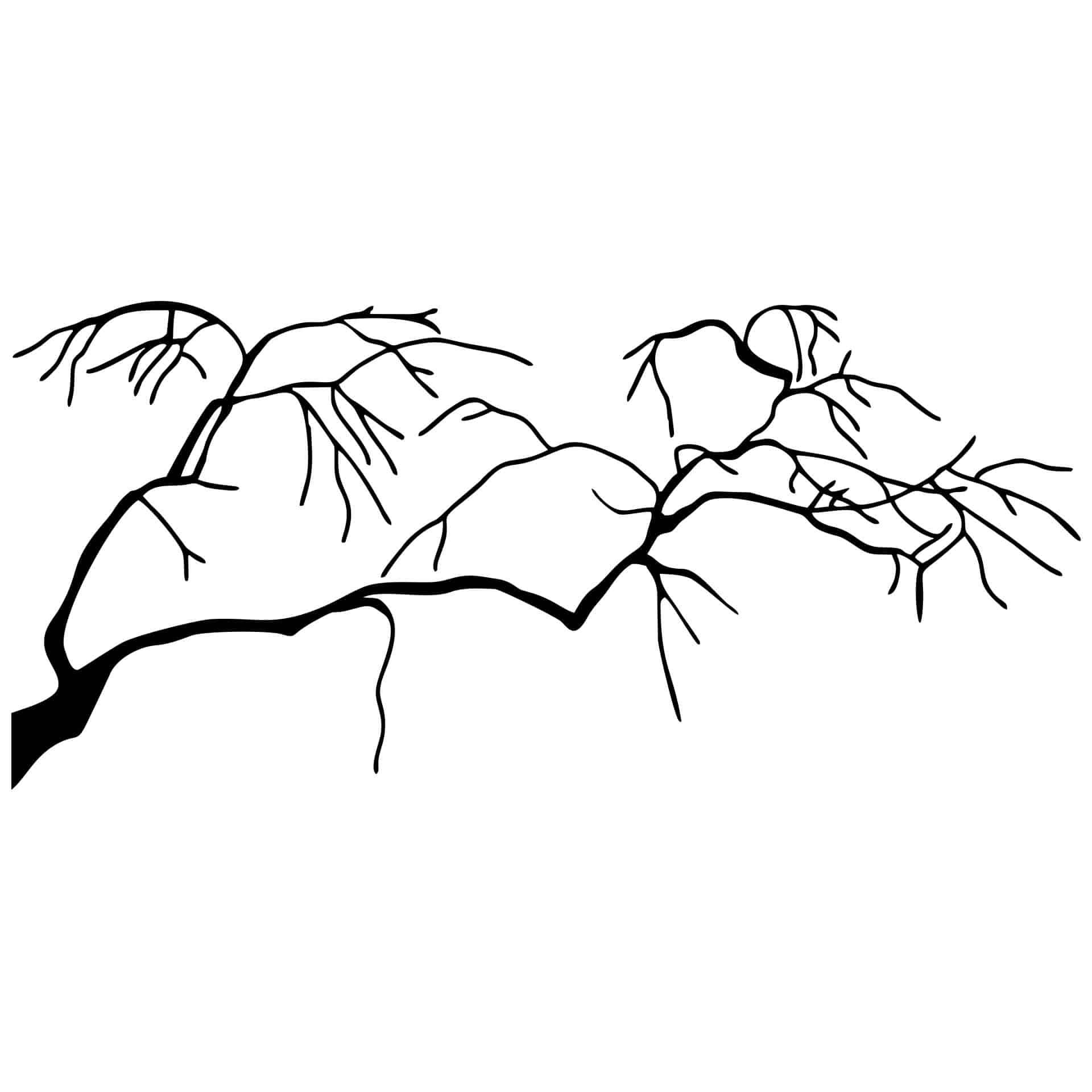 Wandtattoo Langer Ast + 3 Wandhaken