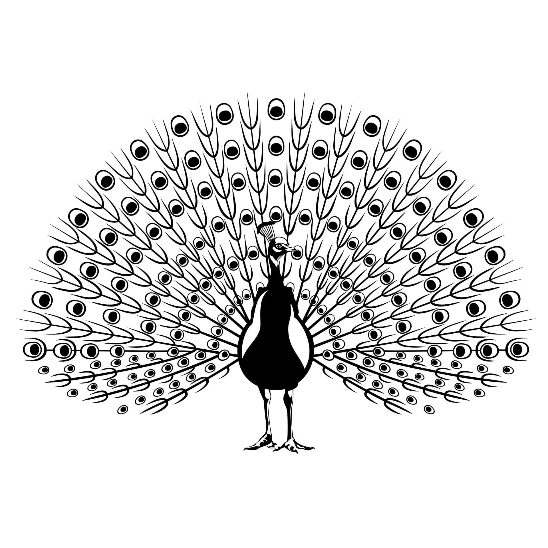 Wandtattoo Pfau 2