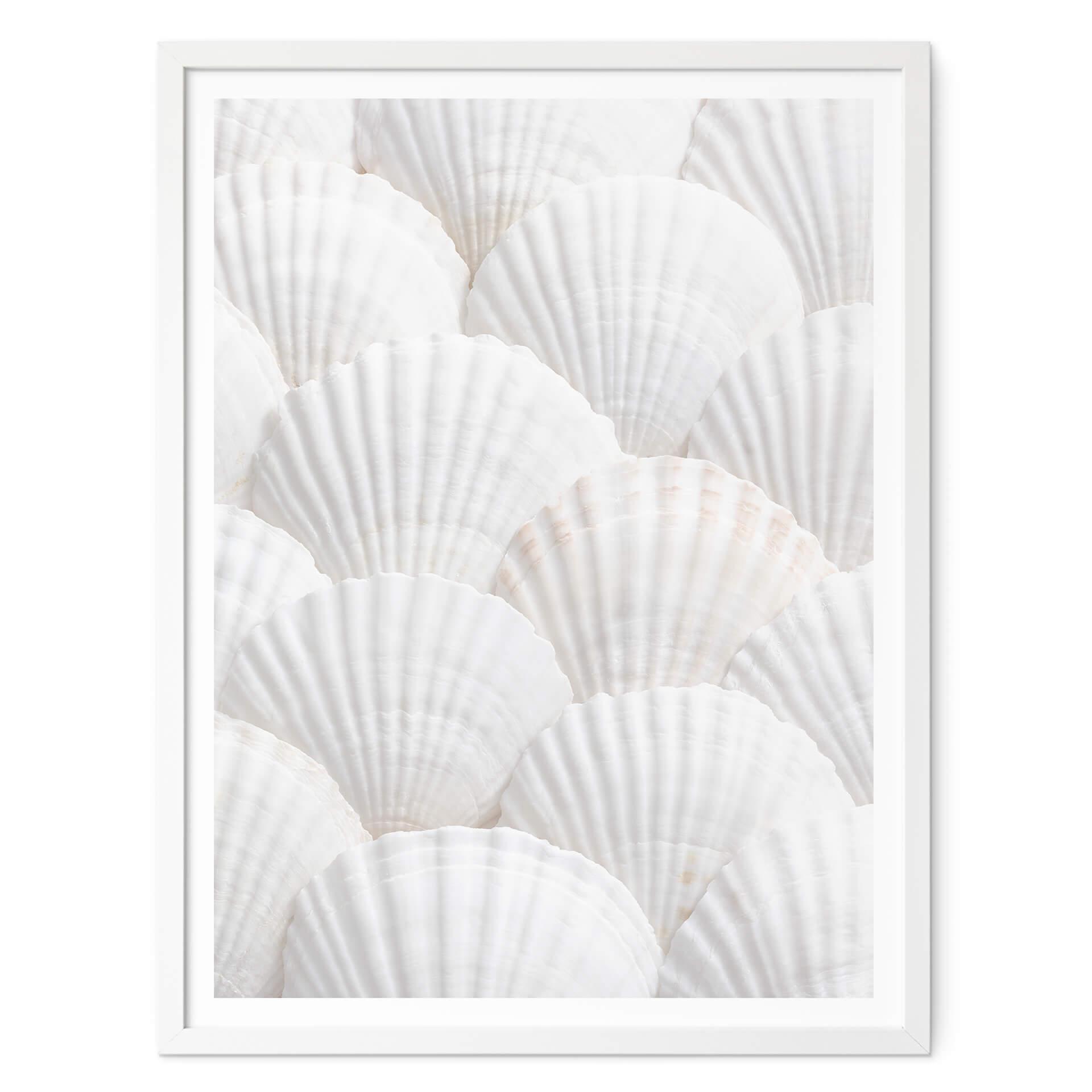 Poster 1X Studio - Shell Ensemble