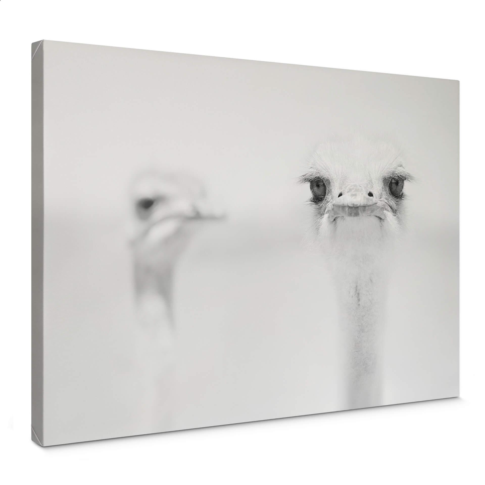Canvasbillede - Tonti - Moment