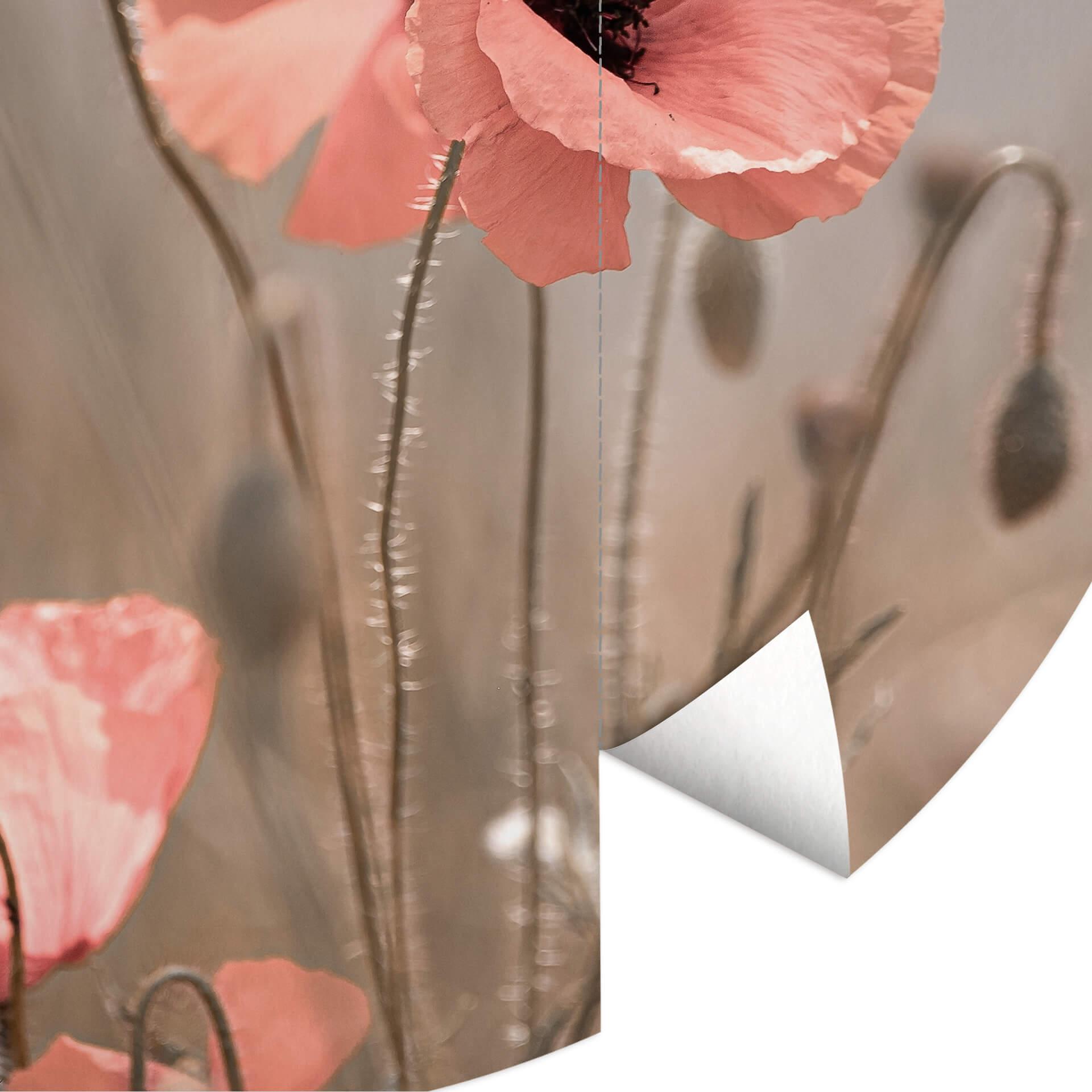 Behangcirkel Delgado - Poppy Flower Romance - vliesbehang/zelfklevend vliesbehang