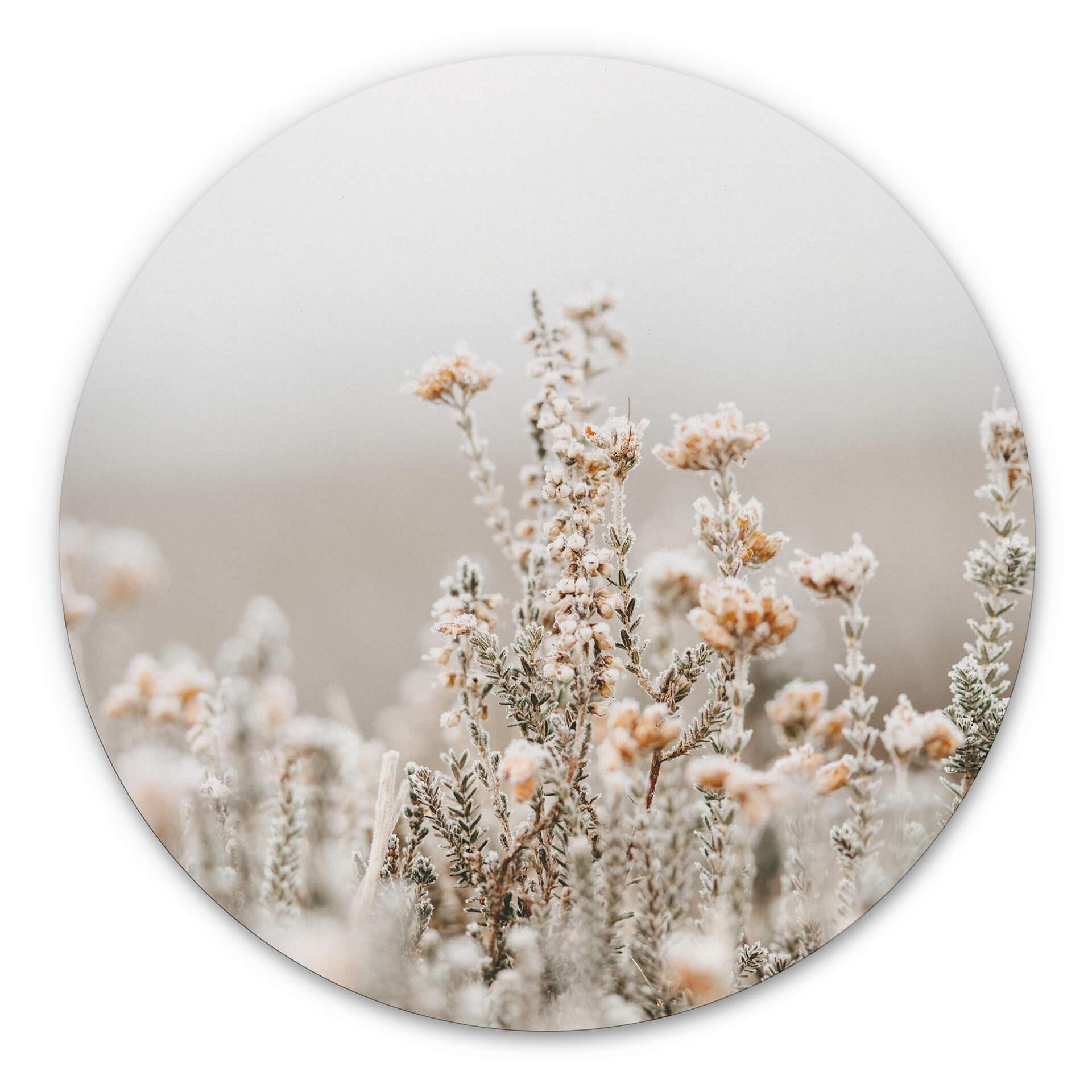 Tableau sur alu-Dibond Annie - Fleurs de glace - Rond