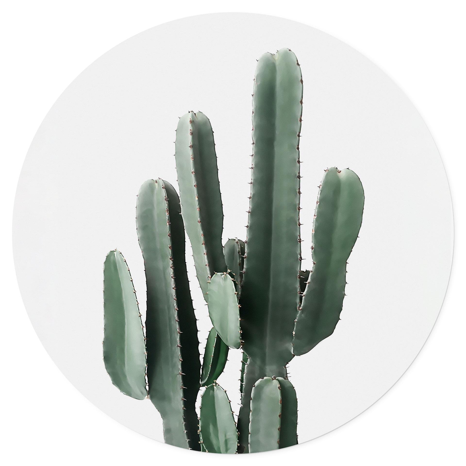 Muursticker Cactusplant - Sisi & Seb