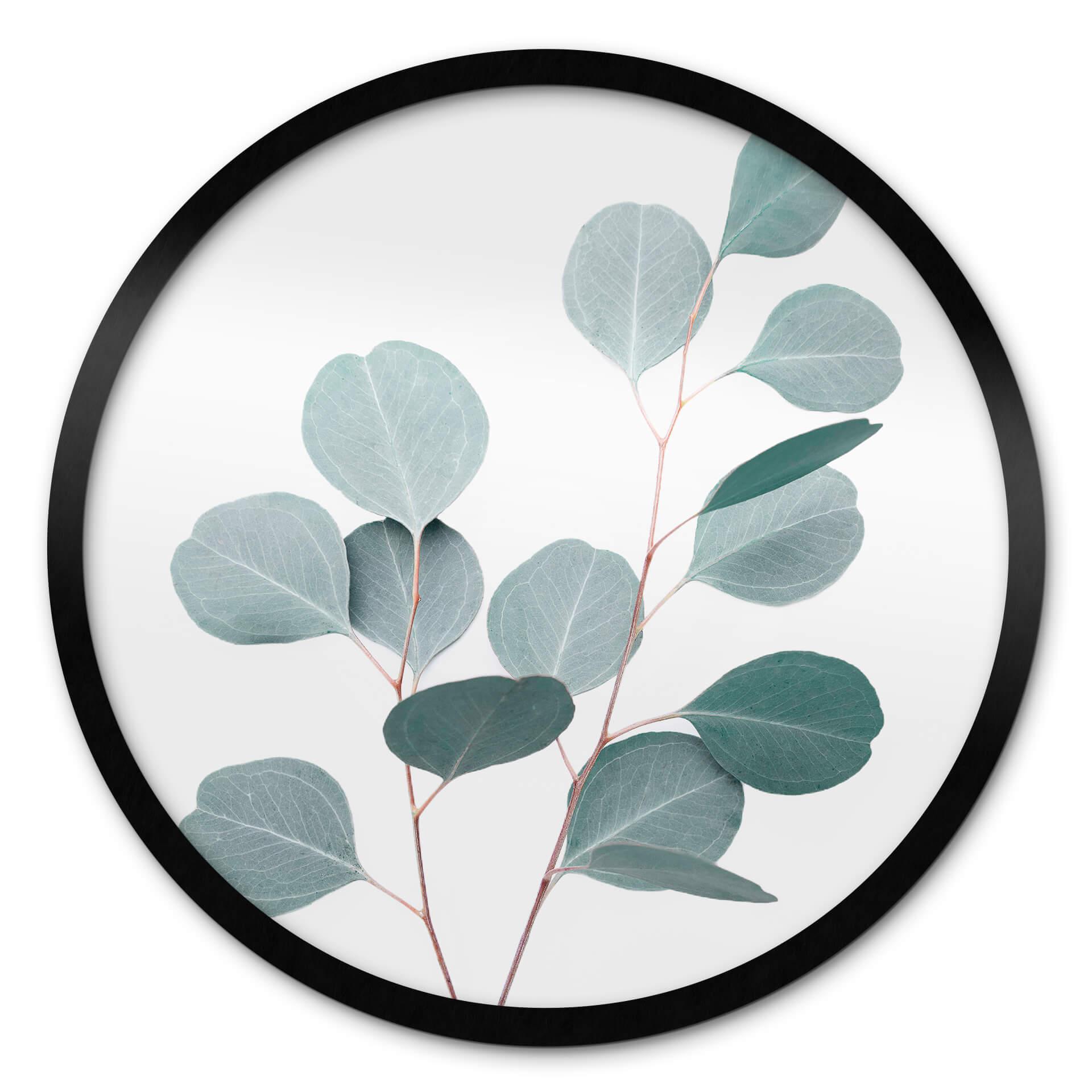 Plakat Sisi & Seb - Eucalyptus