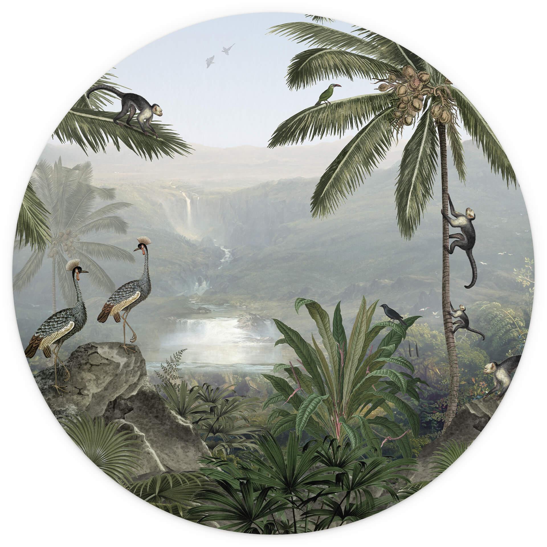 Behangcirkel Sir Edward - Monkeys - vliesbehang/zelfklevend vliesbehang