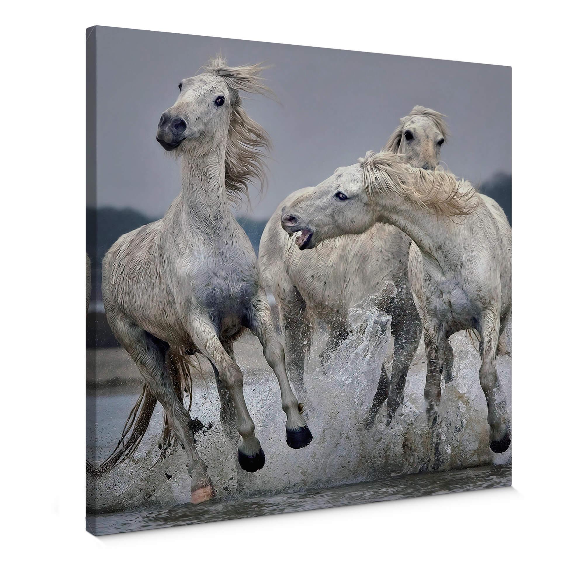 Canvasbillede - Keates - Move Over