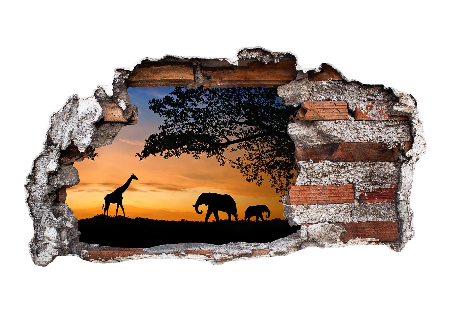 Adesivo 3D – Tramonto Africano