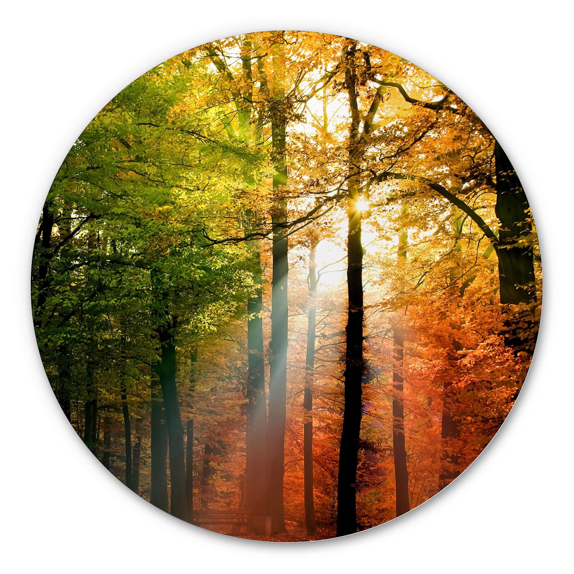 Tableau en alu Dibond - Automne doré - Rond