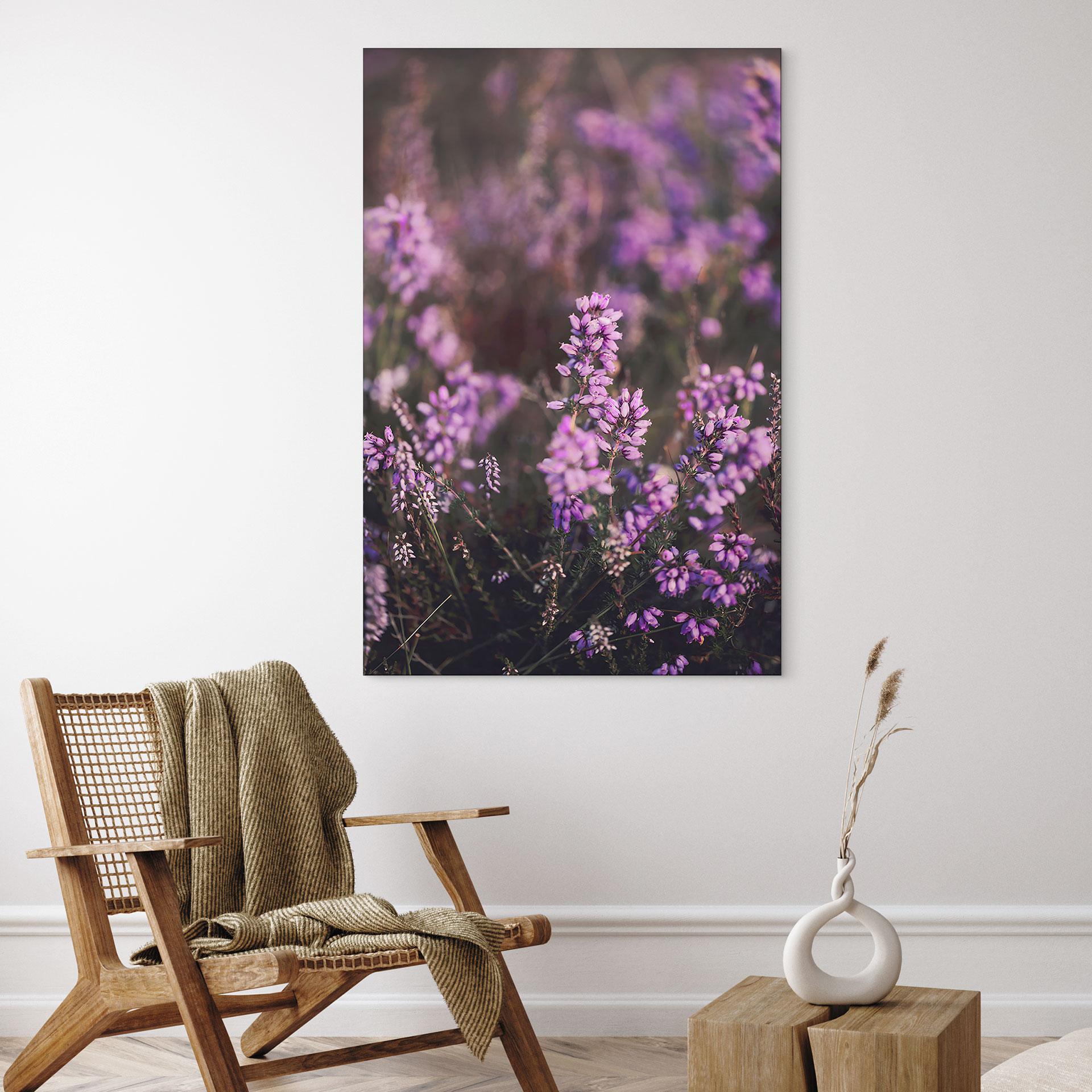 Billede af lilla lyngblomst i varmt lys | naturfotografering til stuen - Annie – print på aluminium