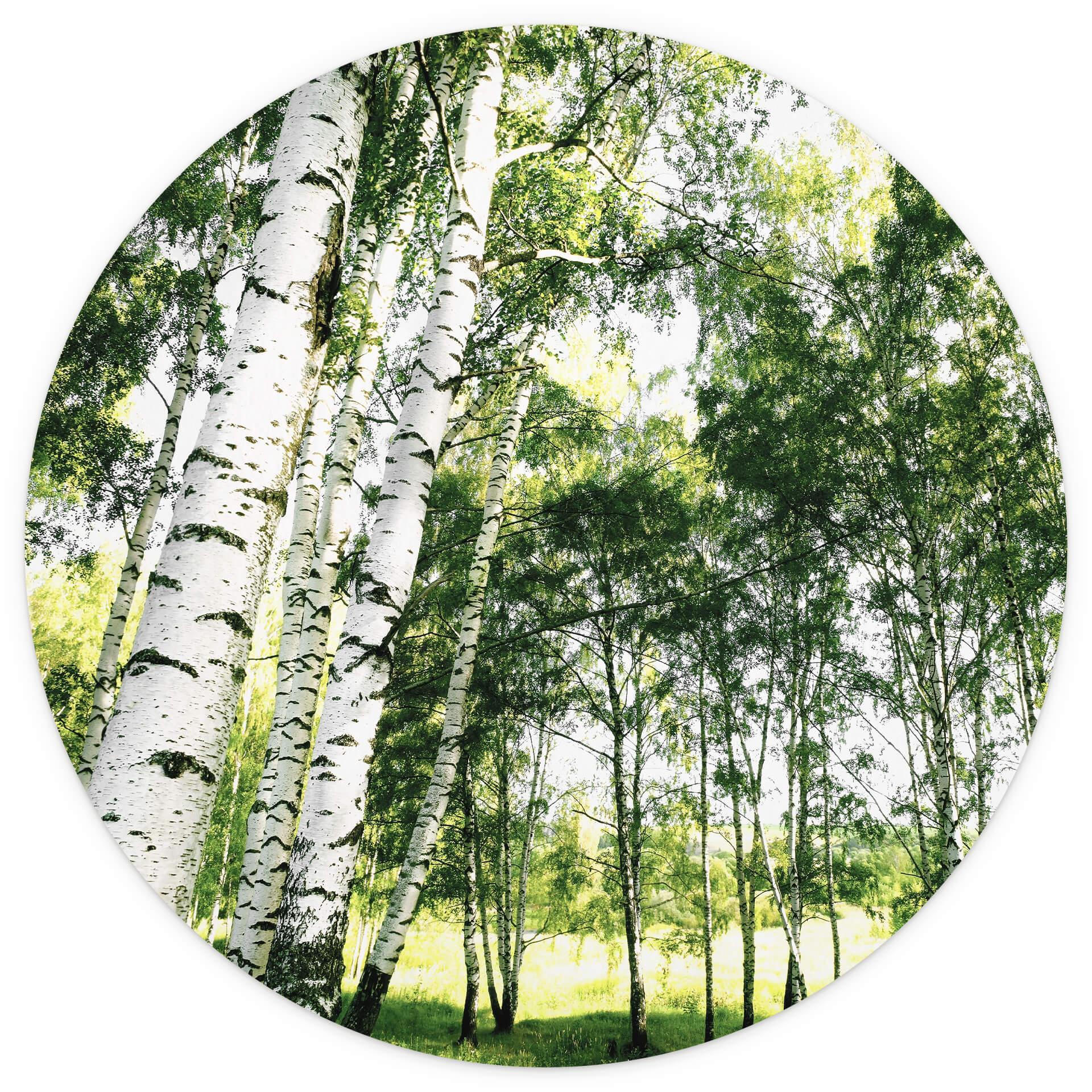 Fototapet - Rundt Sunshine Forest - vliesetapet/selvklæbende non-woven tapet