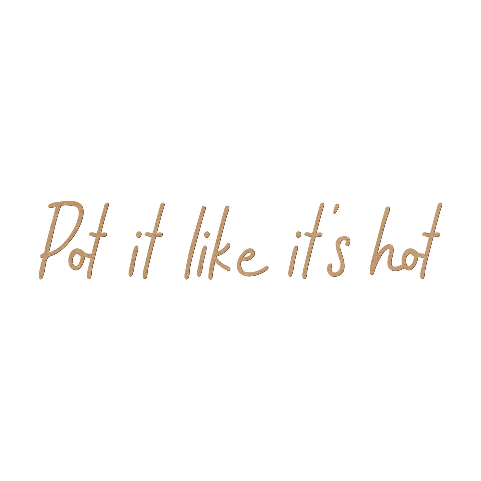 MDF Decoratie Pot it like it's hot