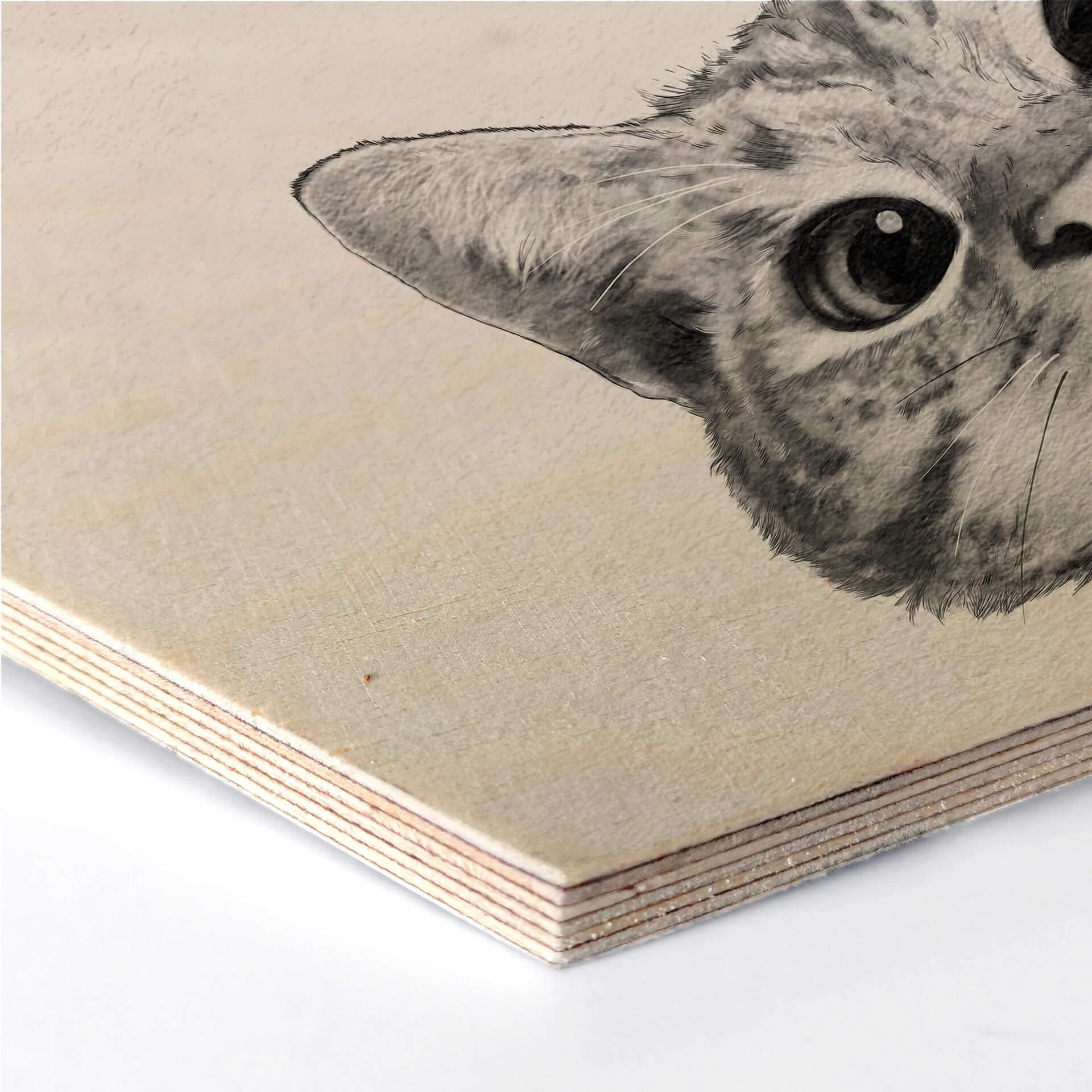 Esagoni legno Graves - Sneaky Cat