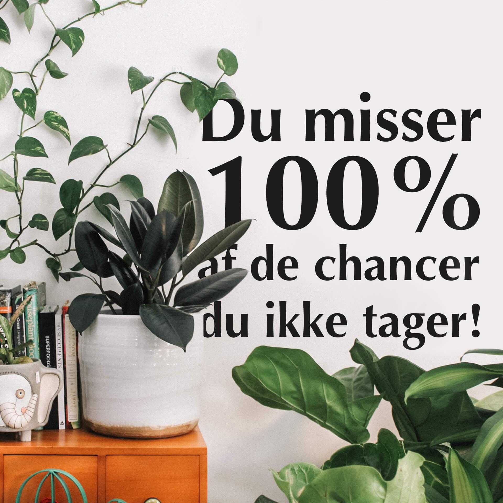 Wallsticker -  Du misser...