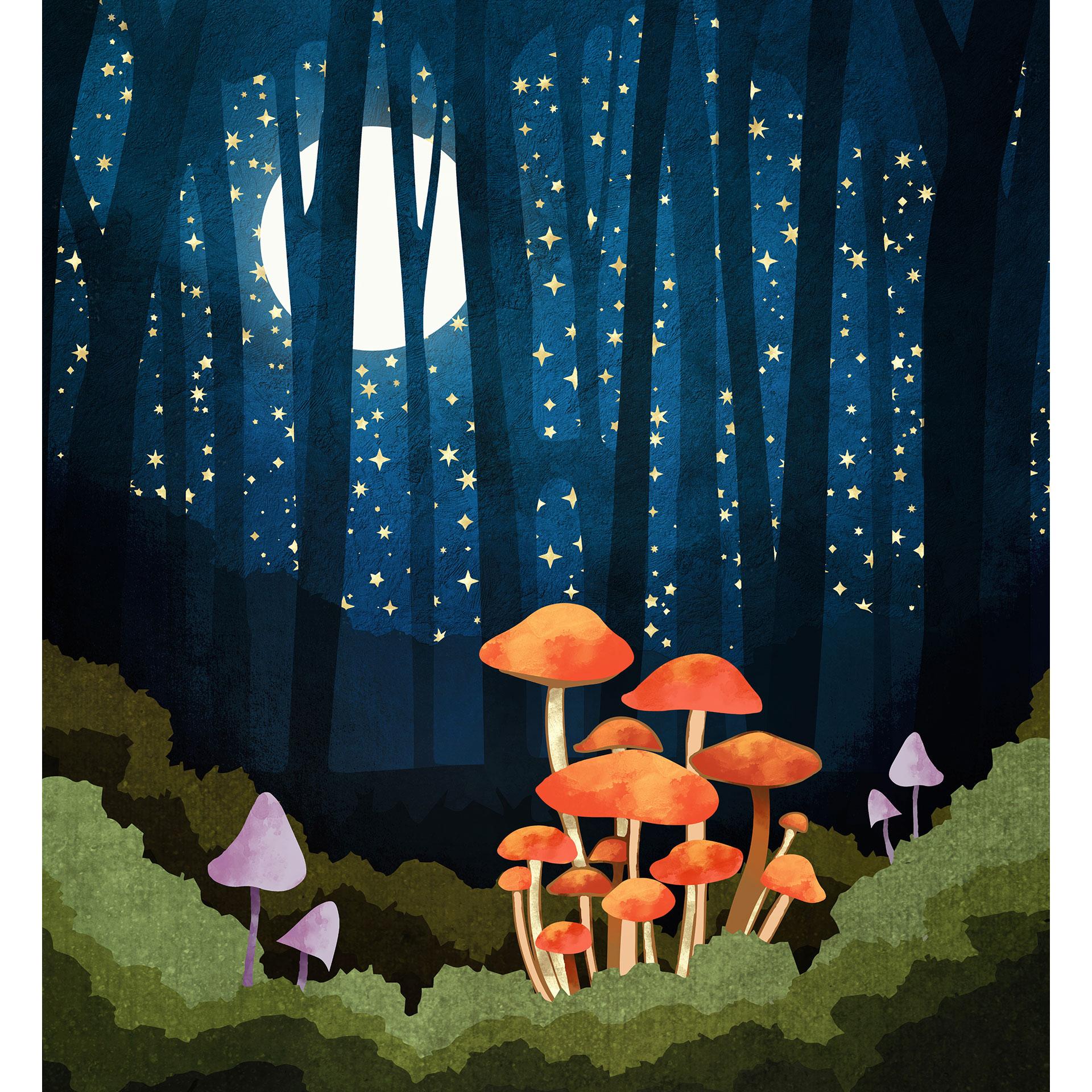 Fotobehang Bos en sterren bij nacht - SpaceFrog Designs