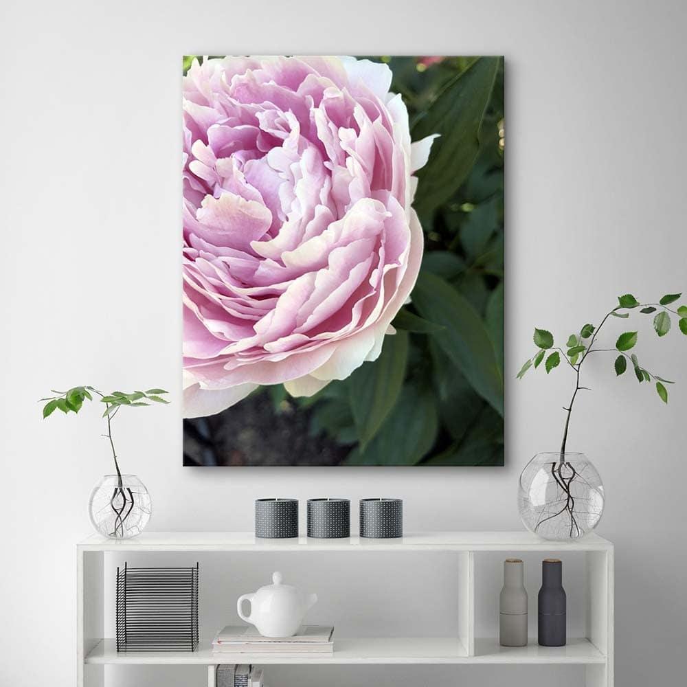 Canvasbillede, Lyserøde pæonblomster
